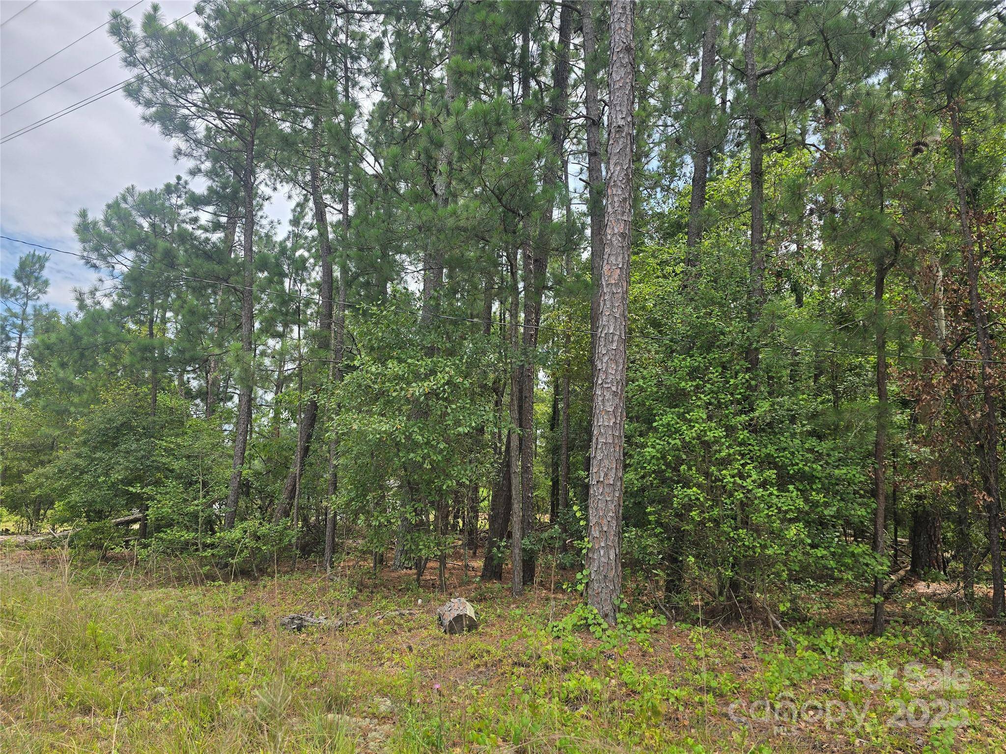 00 Johnny Williams RD #5, Kershaw, SC 29067