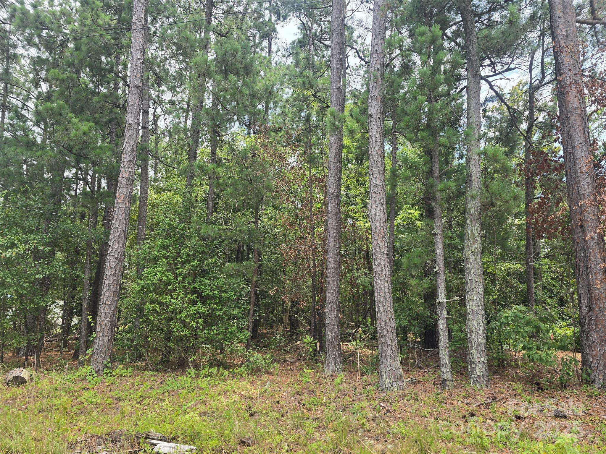 00 Johnny Williams RD #5, Kershaw, SC 29067
