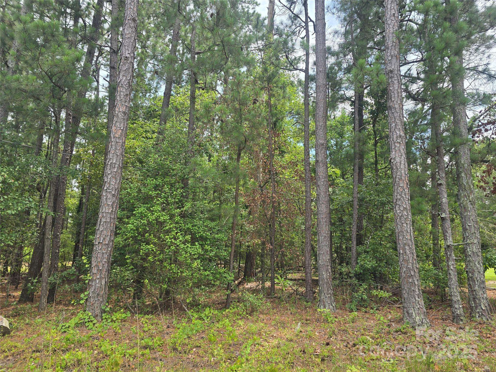 00 Johnny Williams RD #5, Kershaw, SC 29067
