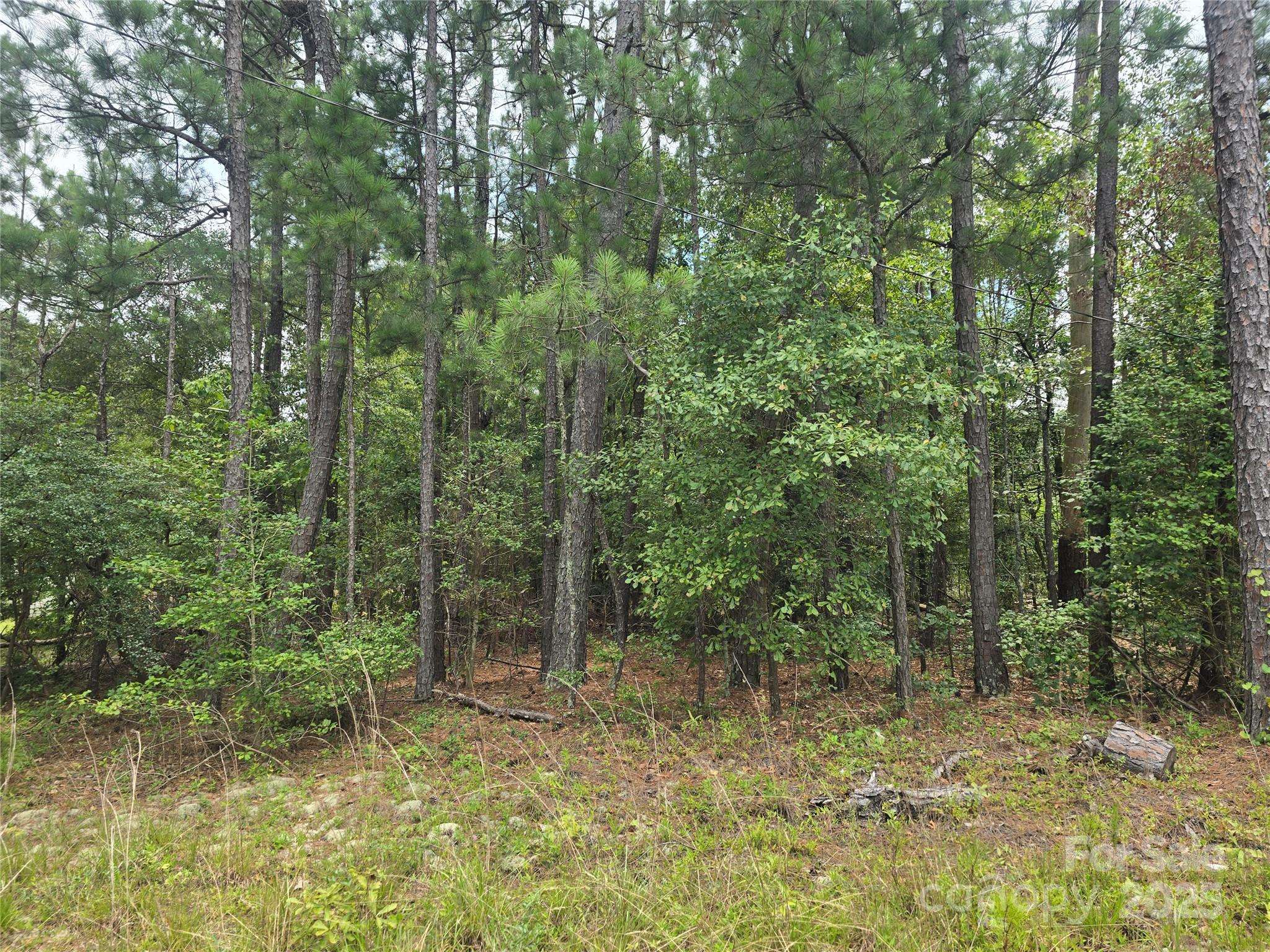 00 Johnny Williams RD #5, Kershaw, SC 29067