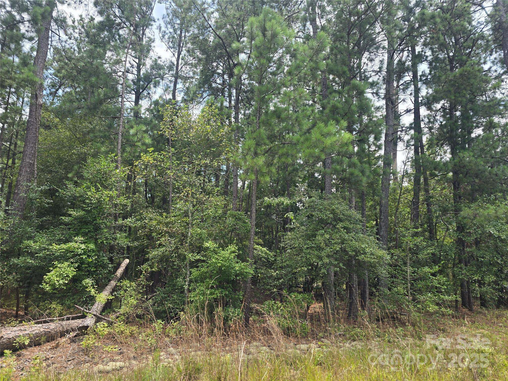00 Johnny Williams RD #5, Kershaw, SC 29067
