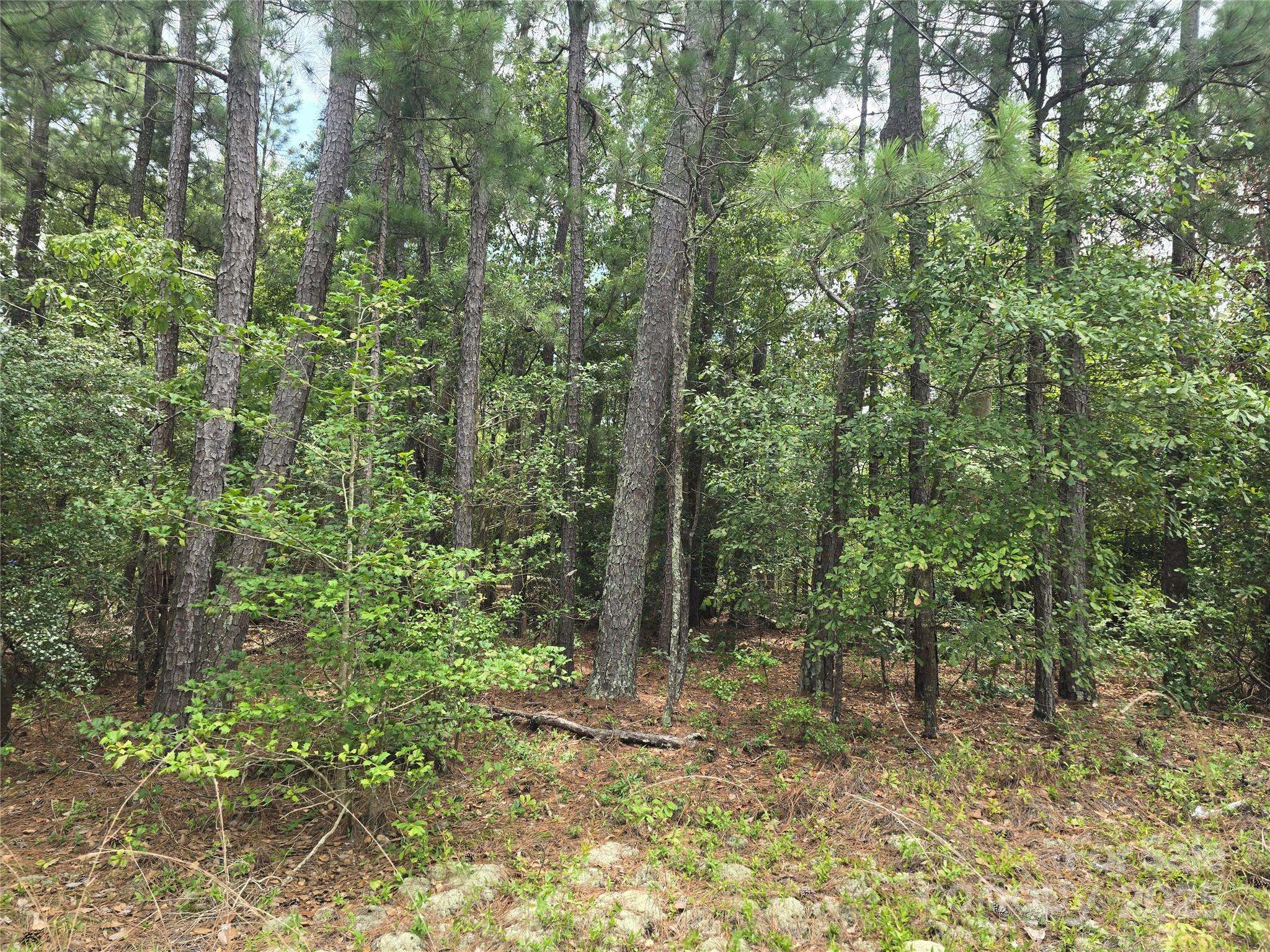 00 Johnny Williams RD #5, Kershaw, SC 29067