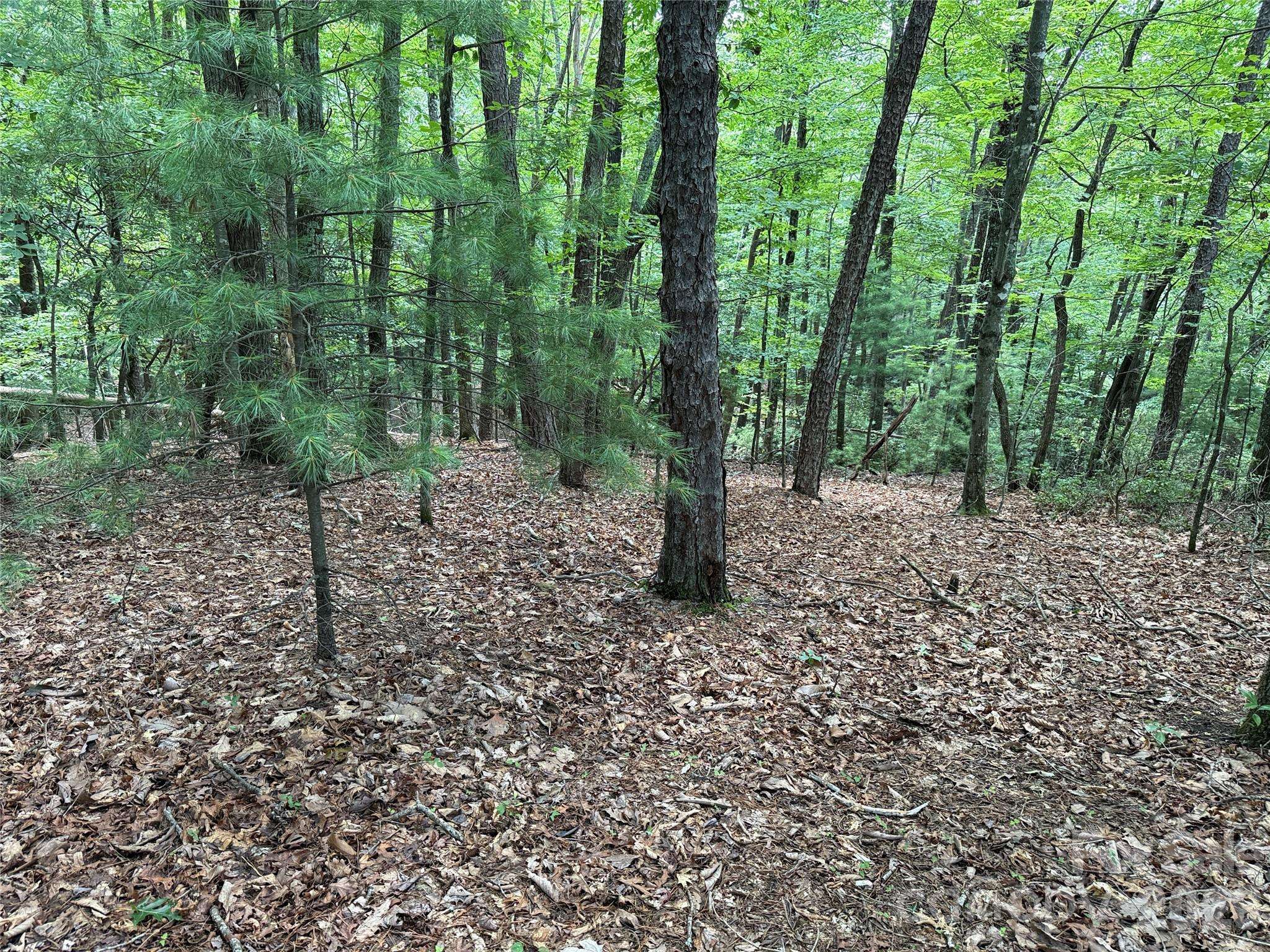 TBD Pine Burr DR #139, Purlear, NC 28665