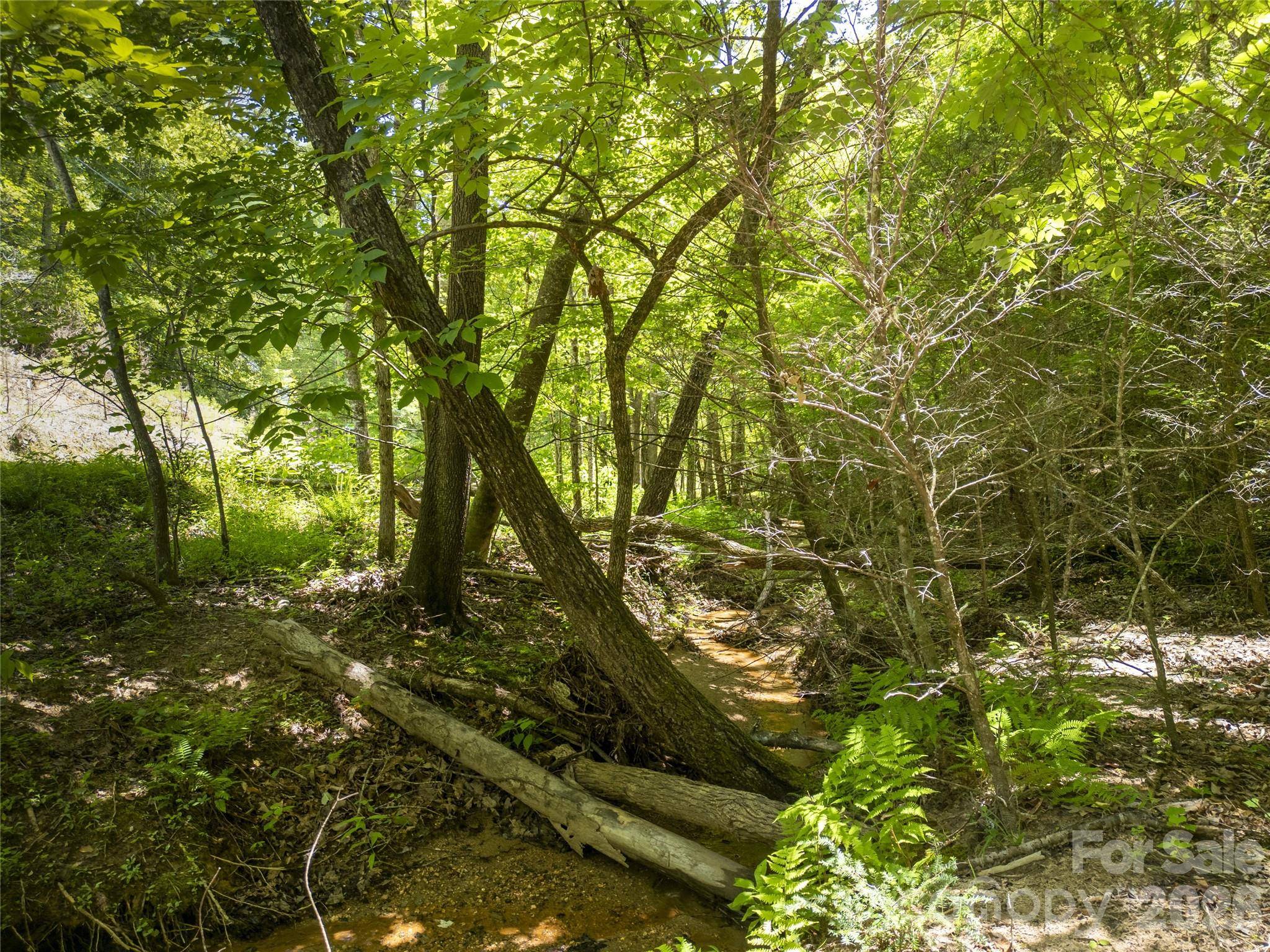 Lot322 Hawks TER, Lake Lure, NC 28746