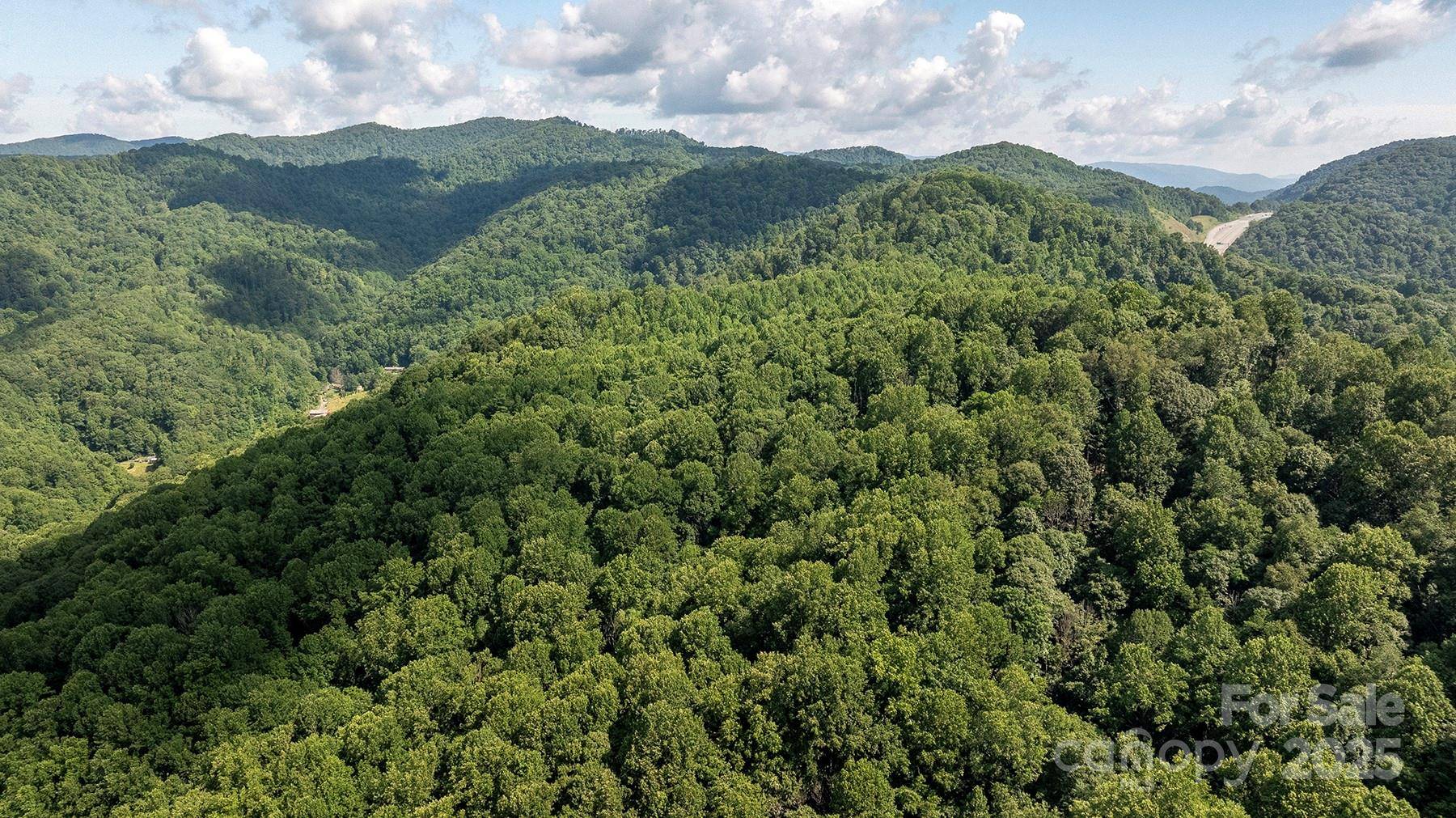 1710 Roaring Fork RD, Mars Hill, NC 28754