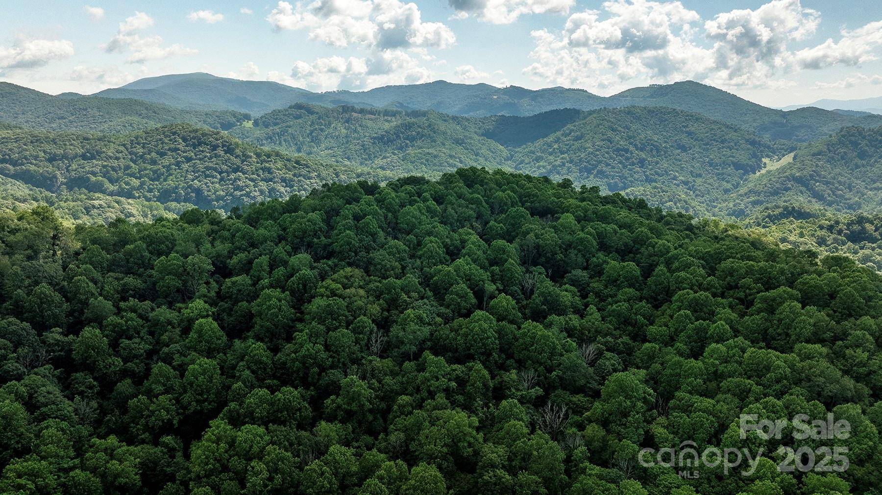 1710 Roaring Fork RD, Mars Hill, NC 28754