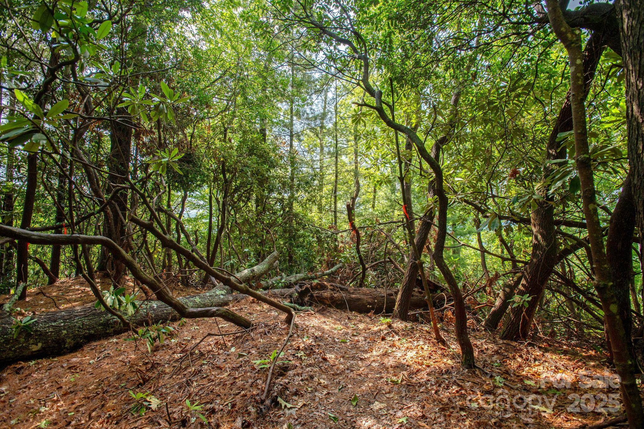 Lot # 1 Masterpiece View DR #1, Hendersonville, NC 28739