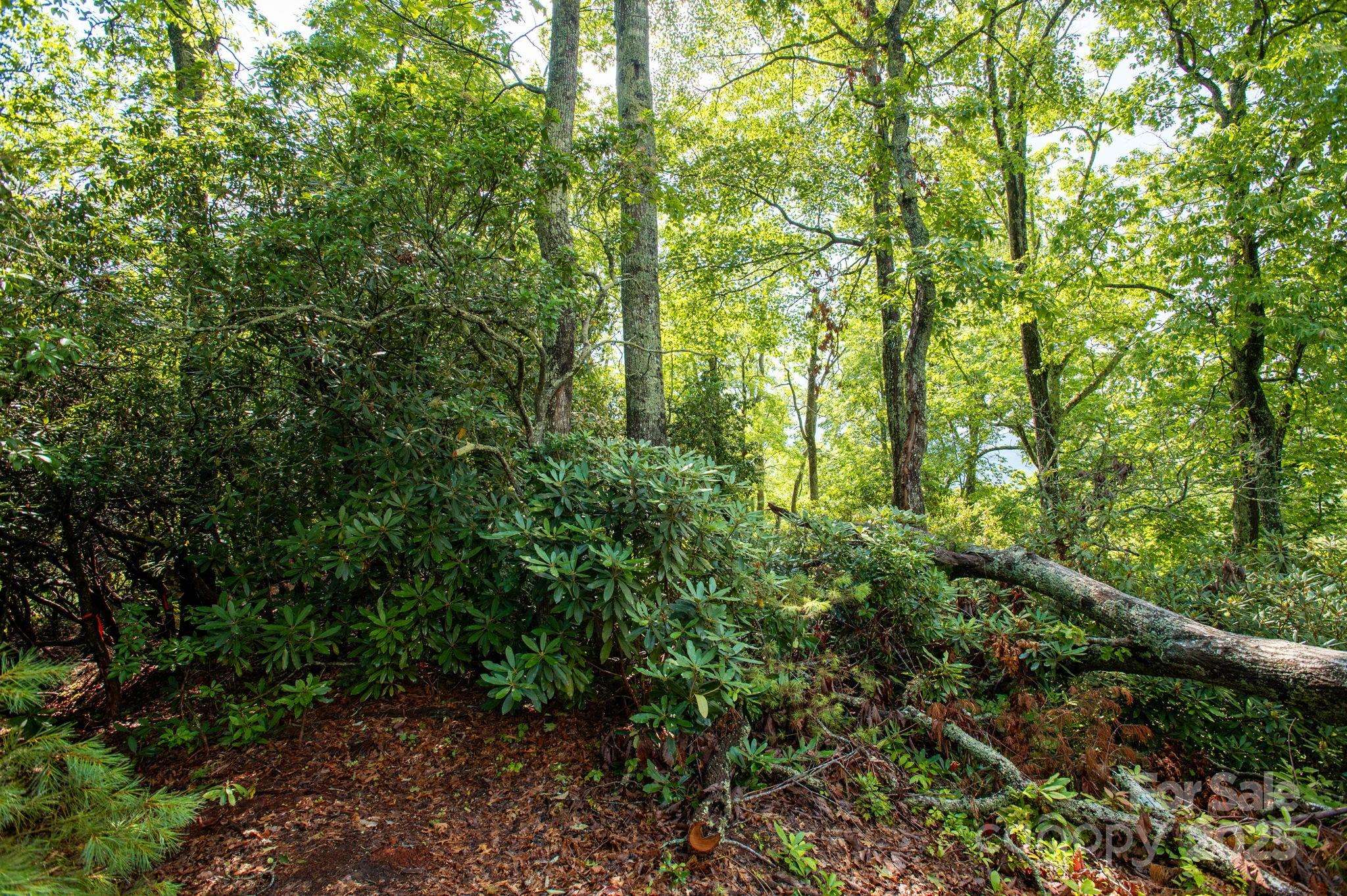 Lot # 1 Masterpiece View DR #1, Hendersonville, NC 28739
