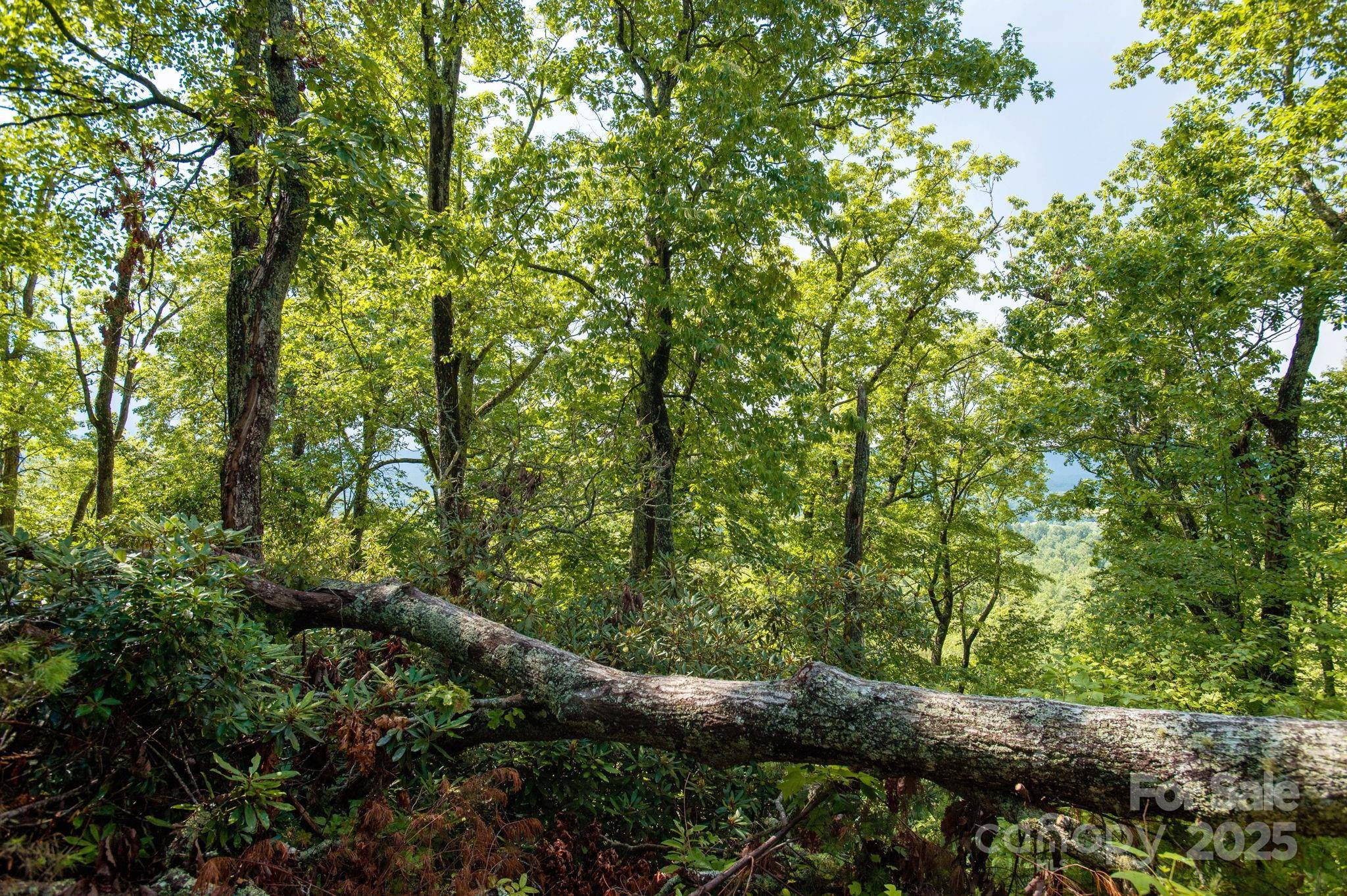 Lot # 1 Masterpiece View DR #1, Hendersonville, NC 28739
