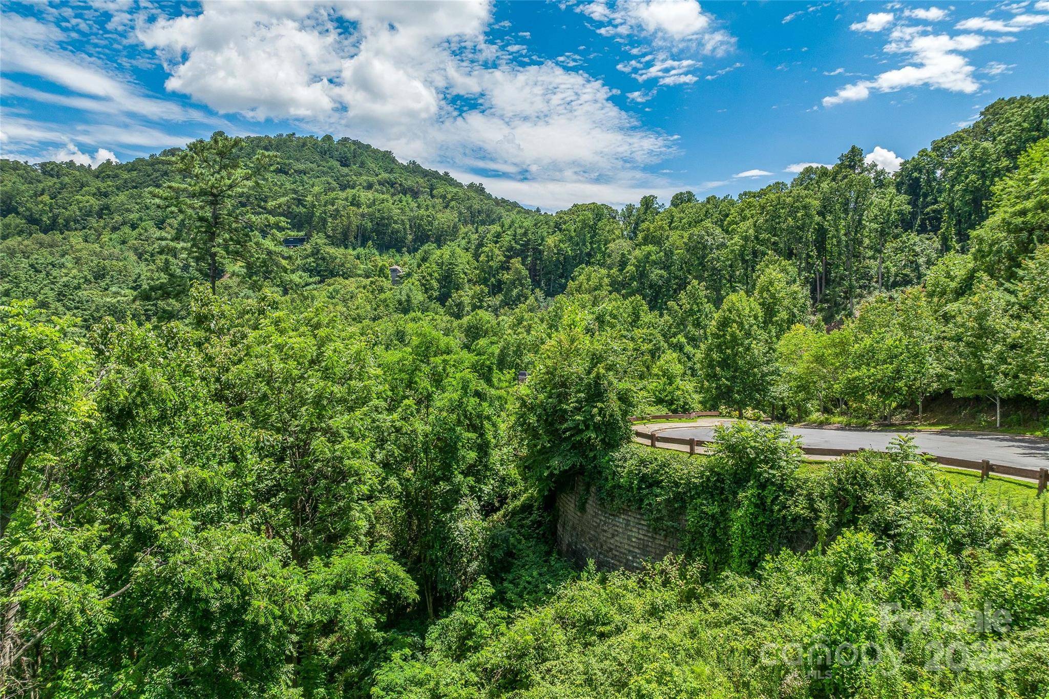 29 Grovepoint WAY, Asheville, NC 28804
