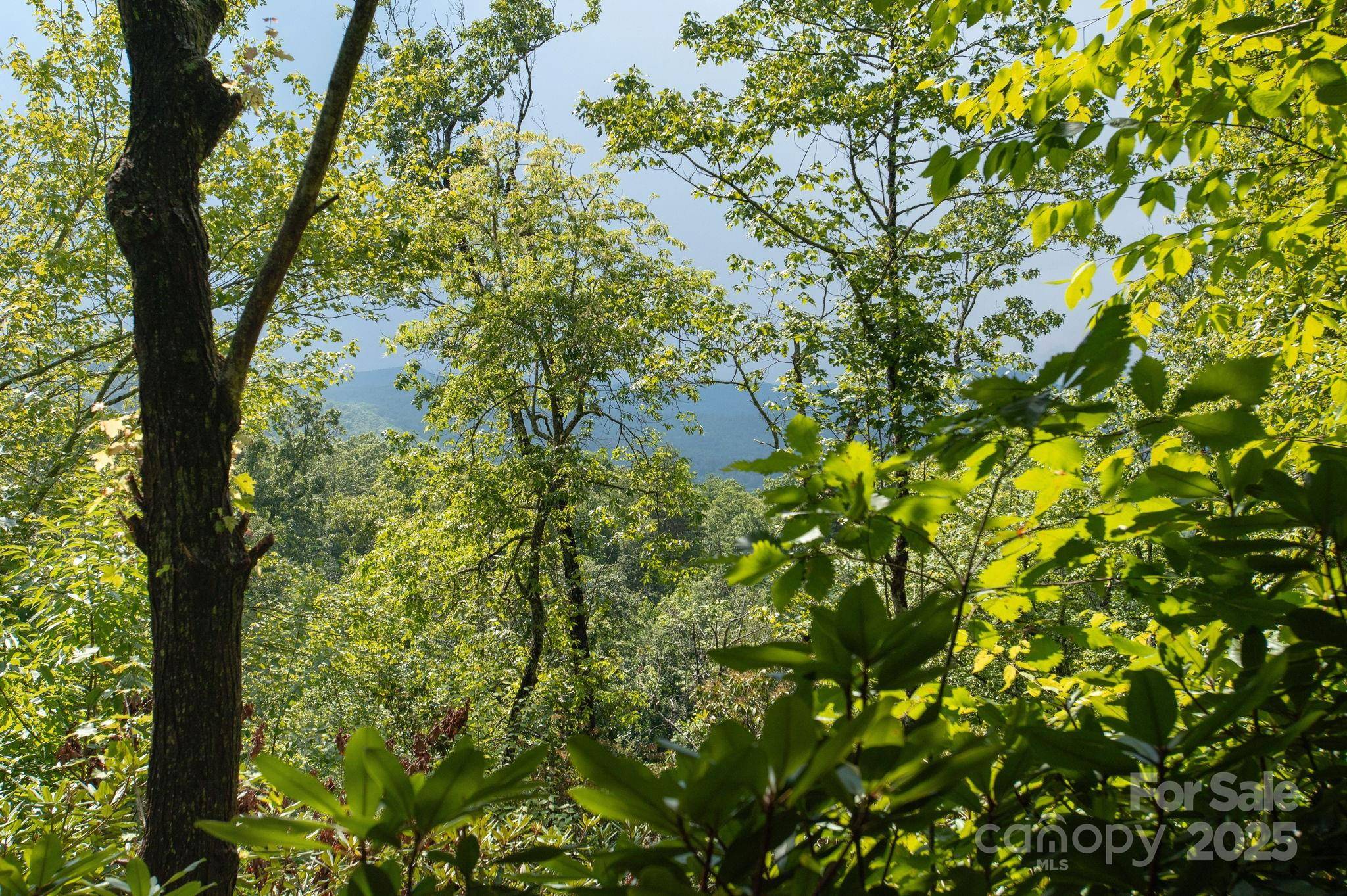 Lot # 2 Masterpiece View DR #2, Hendersonville, NC 28739