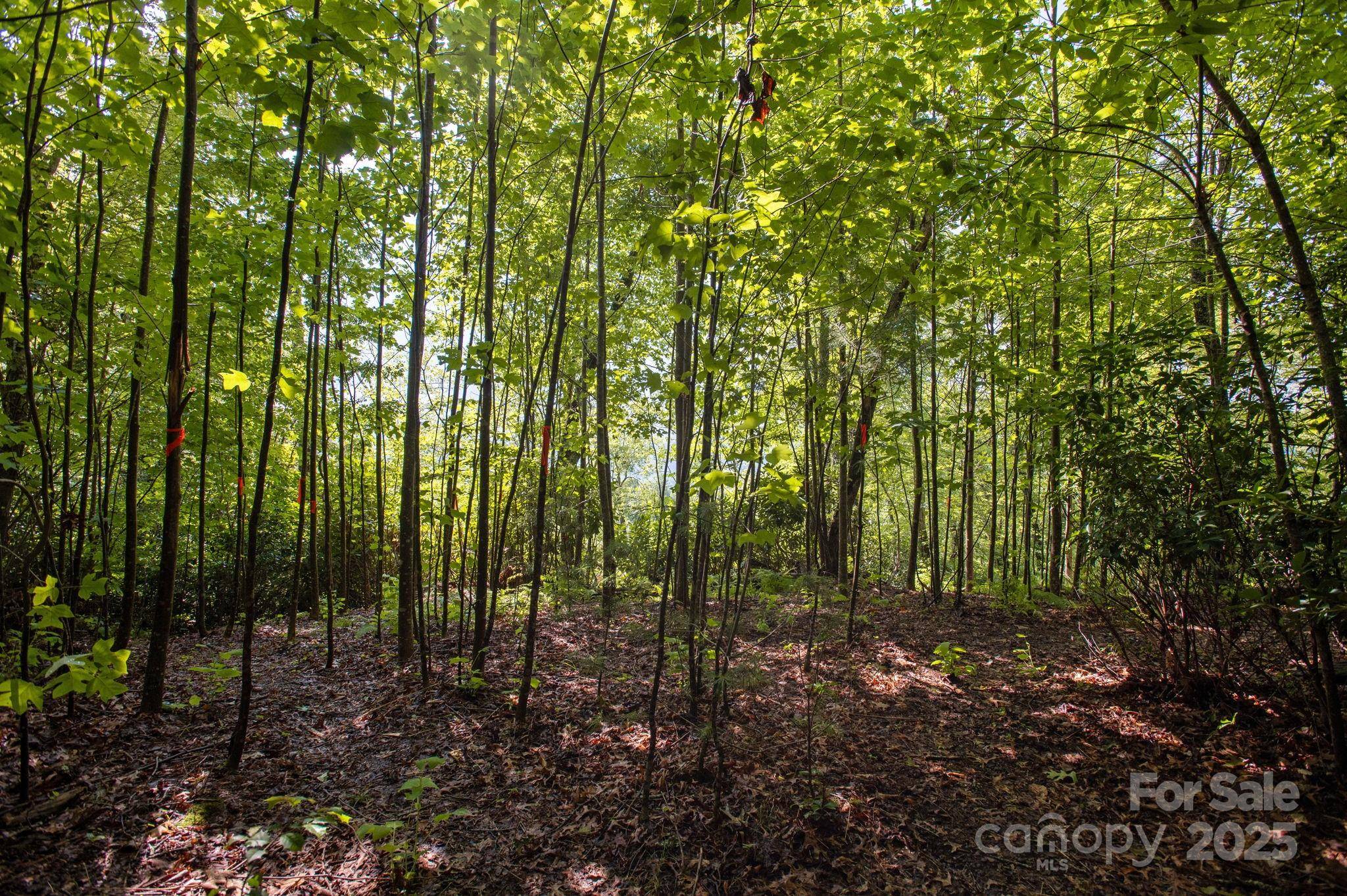 Lot # 2 Masterpiece View DR #2, Hendersonville, NC 28739