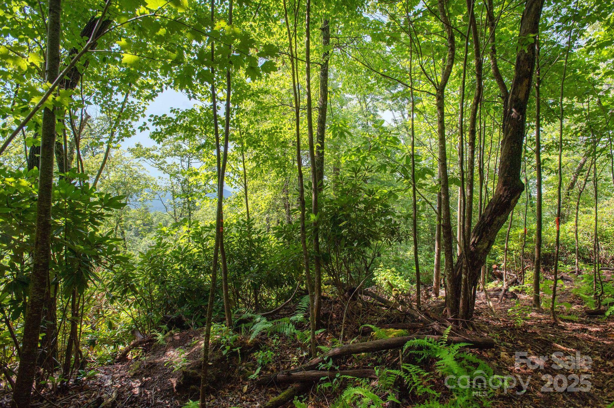 Lot # 2 Masterpiece View DR #2, Hendersonville, NC 28739