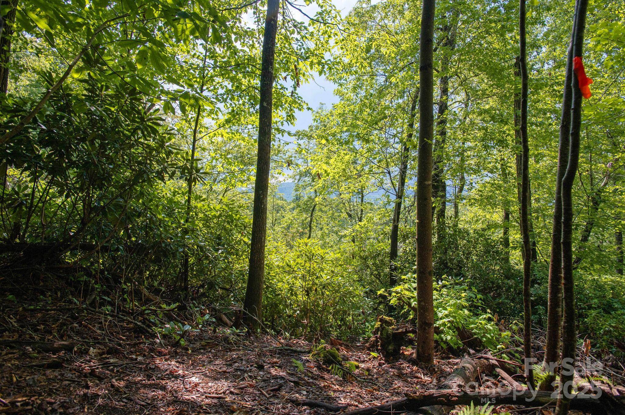 Lot # 2 Masterpiece View DR #2, Hendersonville, NC 28739