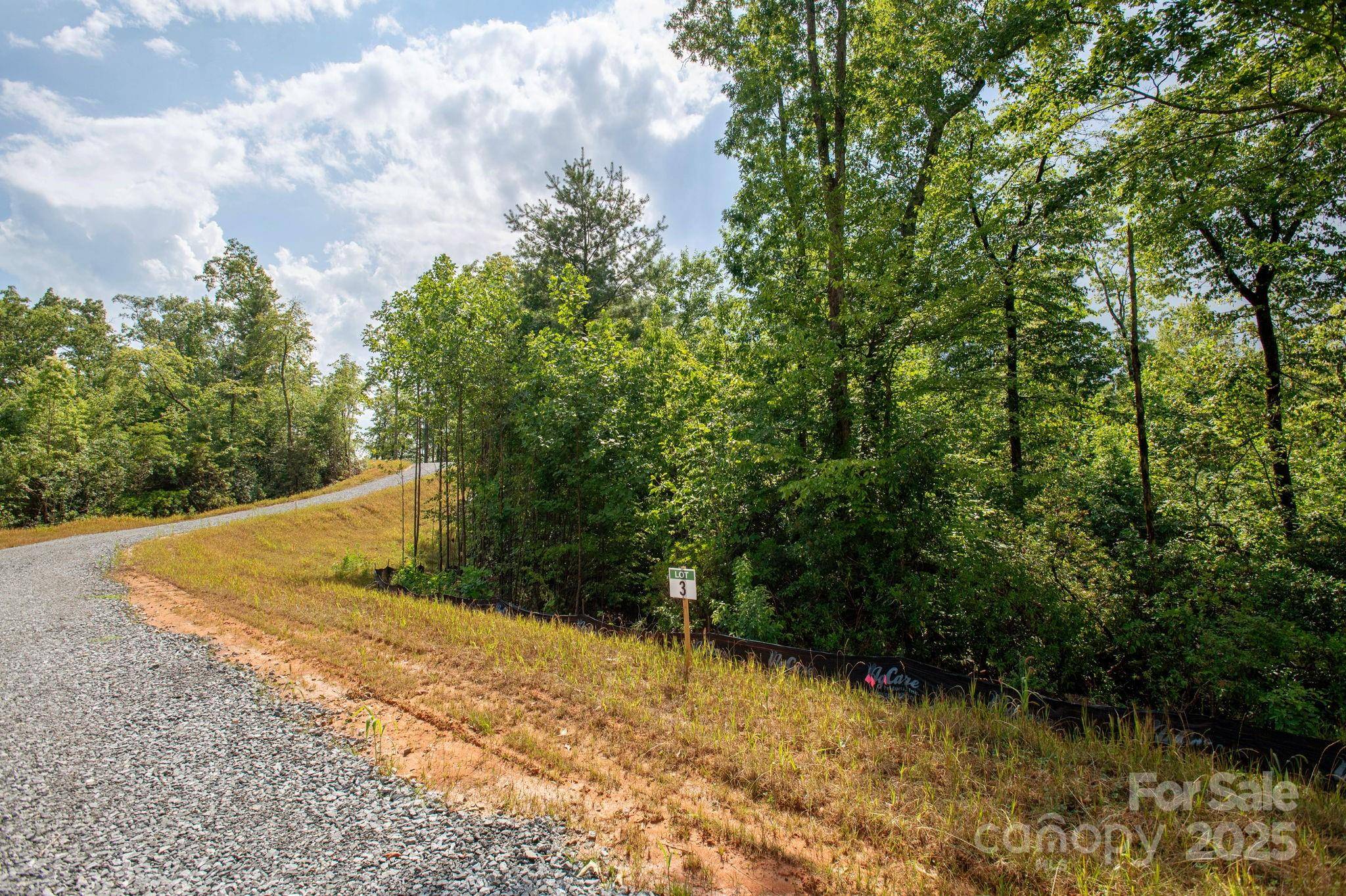 Lot # 3 Masterpiece View DR #3, Hendersonville, NC 28739