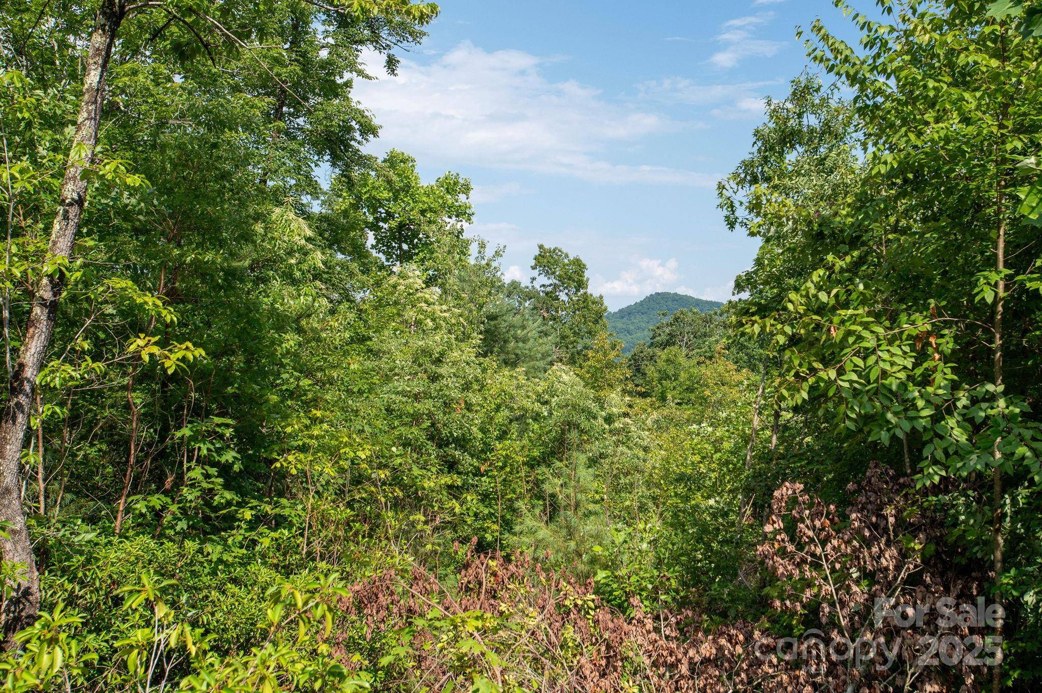 Lot # 6 Masterpiece View DR #6, Hendersonville, NC 28739