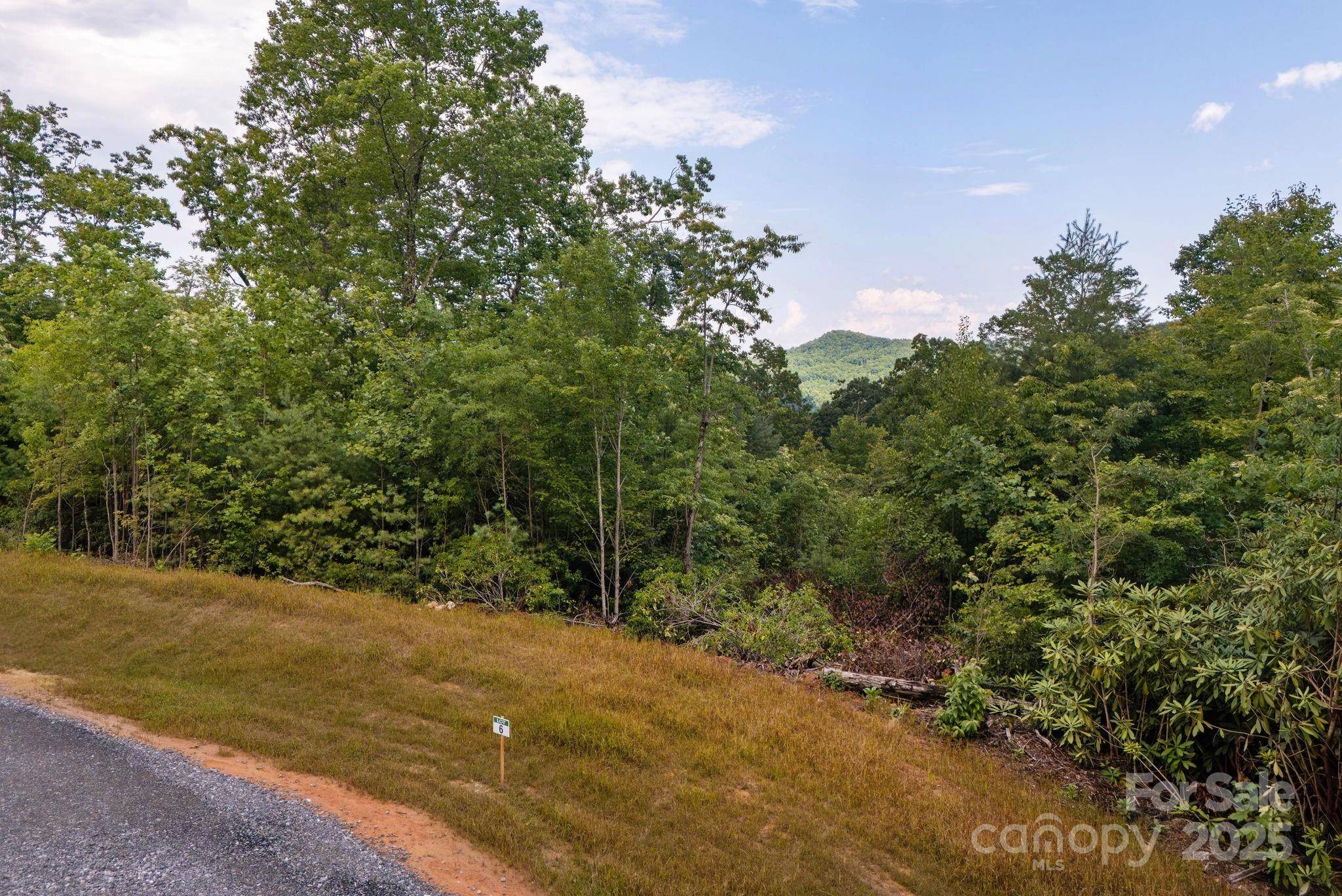 Lot # 6 Masterpiece View DR #6, Hendersonville, NC 28739