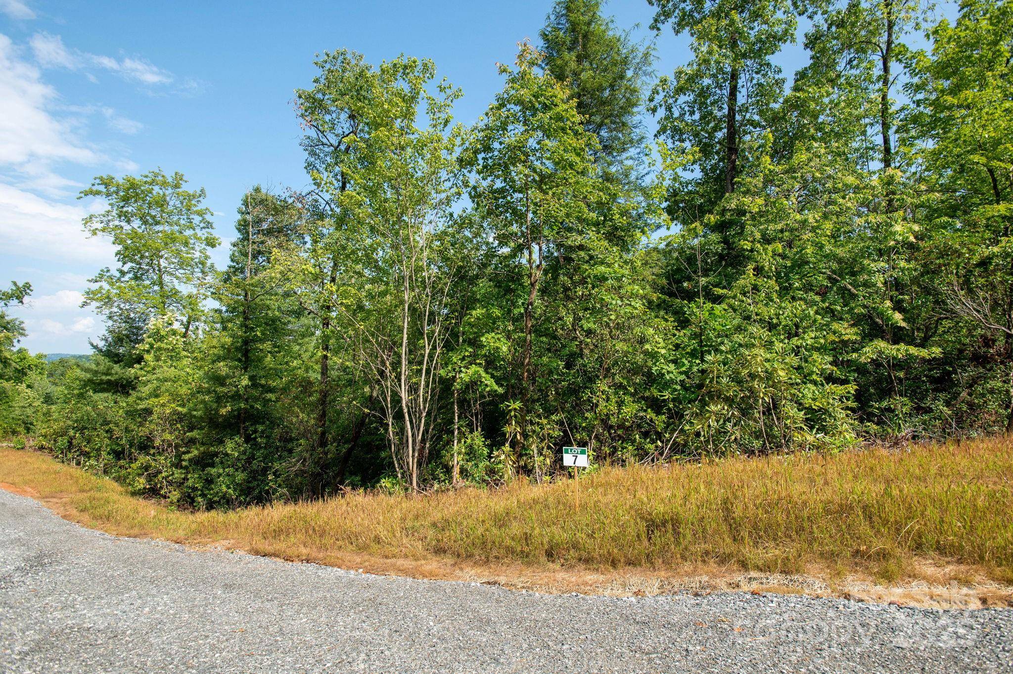 Lot # 7 Masterpiece View DR, Hendersonville, NC 28739