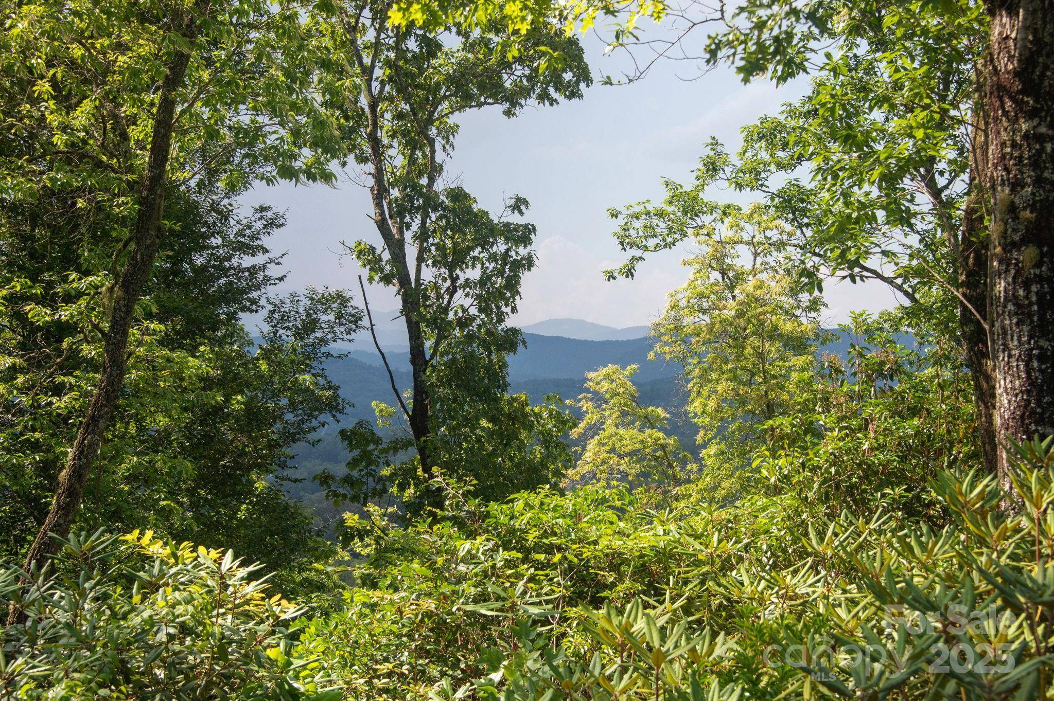 Lot # 7 Masterpiece View DR, Hendersonville, NC 28739