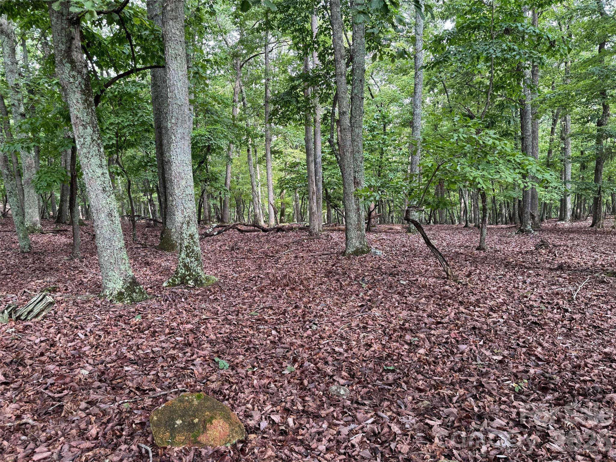 1695 Sierra Trace RD, Denton, NC 27239