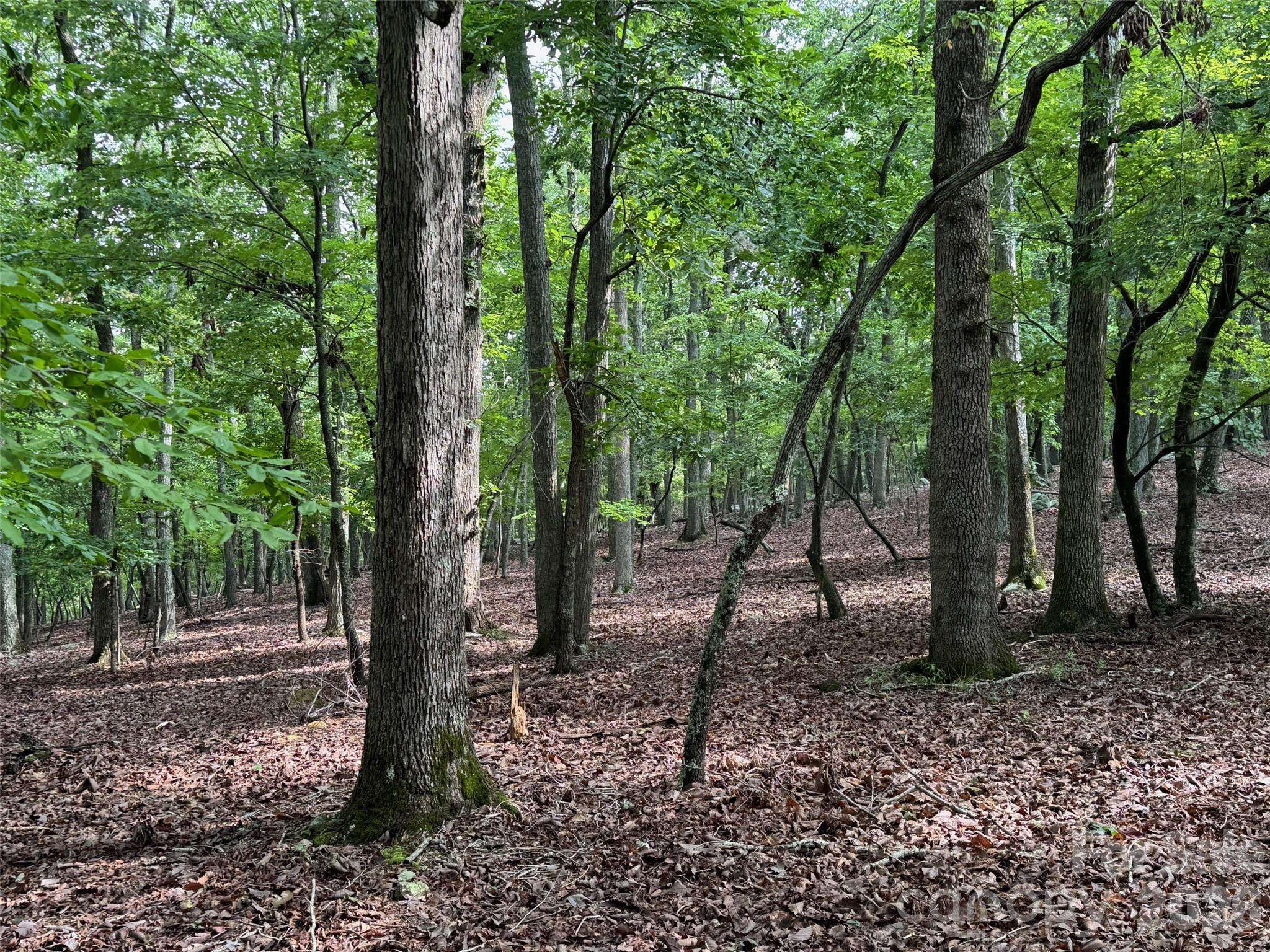 1695 Sierra Trace RD, Denton, NC 27239