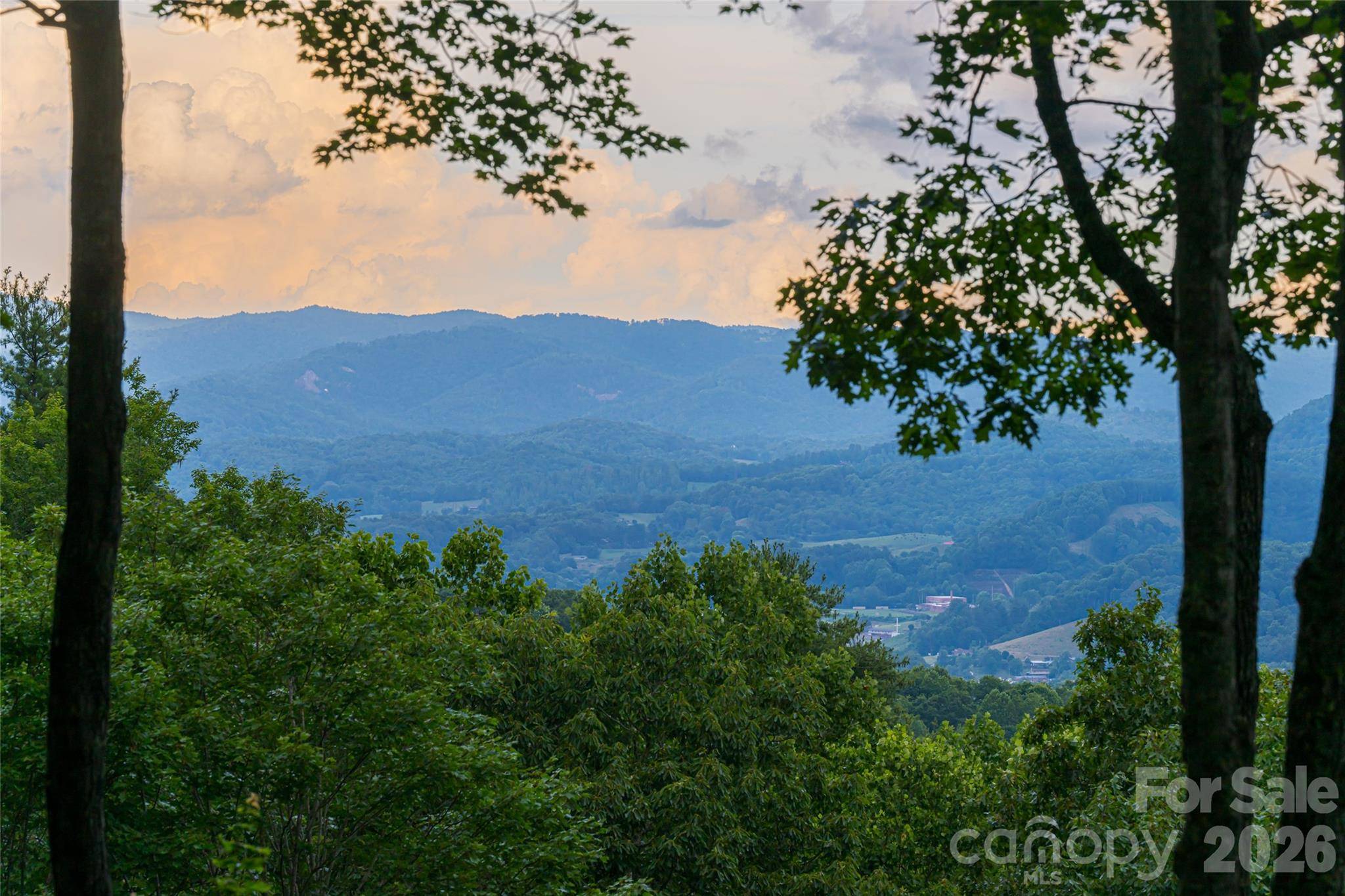 163 Tweetys Knoll, Burnsville, NC 28714