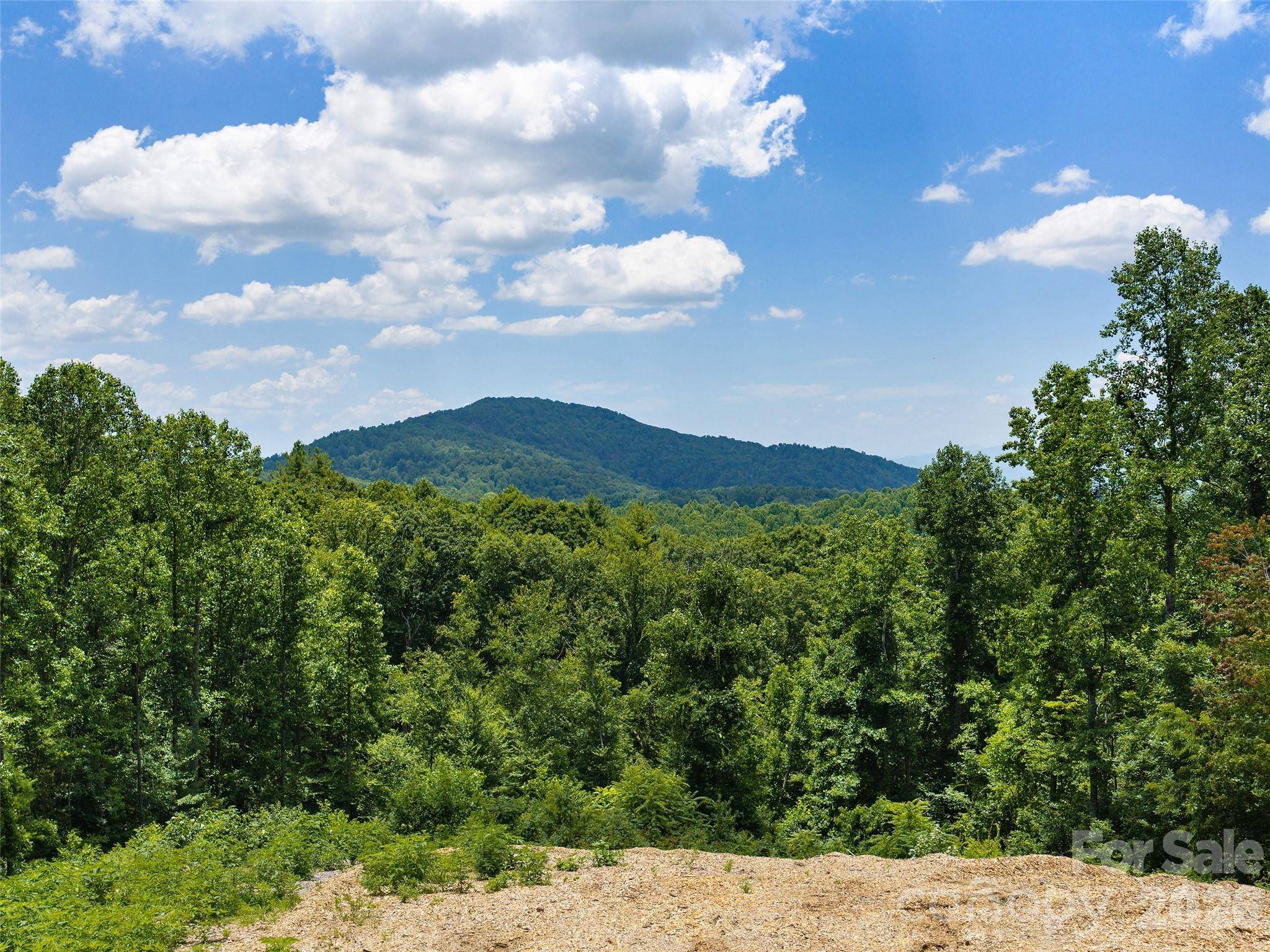 620 Dancing Bear DR #195, Hendersonville, NC 28792