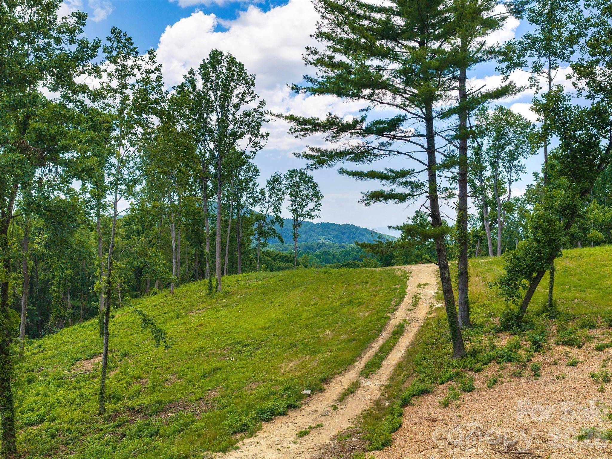 620 Dancing Bear DR #195, Hendersonville, NC 28792