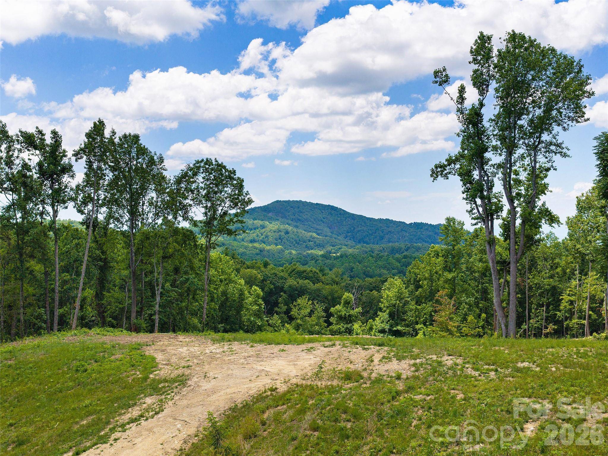 620 Dancing Bear DR #195, Hendersonville, NC 28792