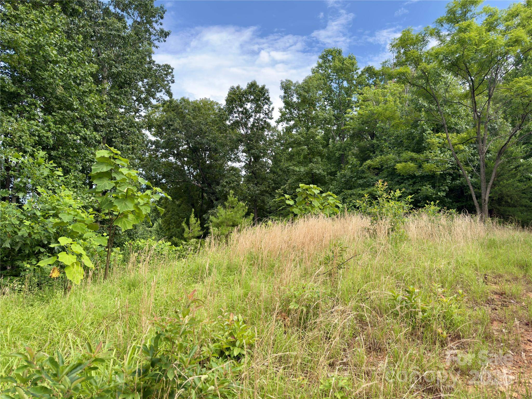 V/L Black Lark DR #178, Marion, NC 28752