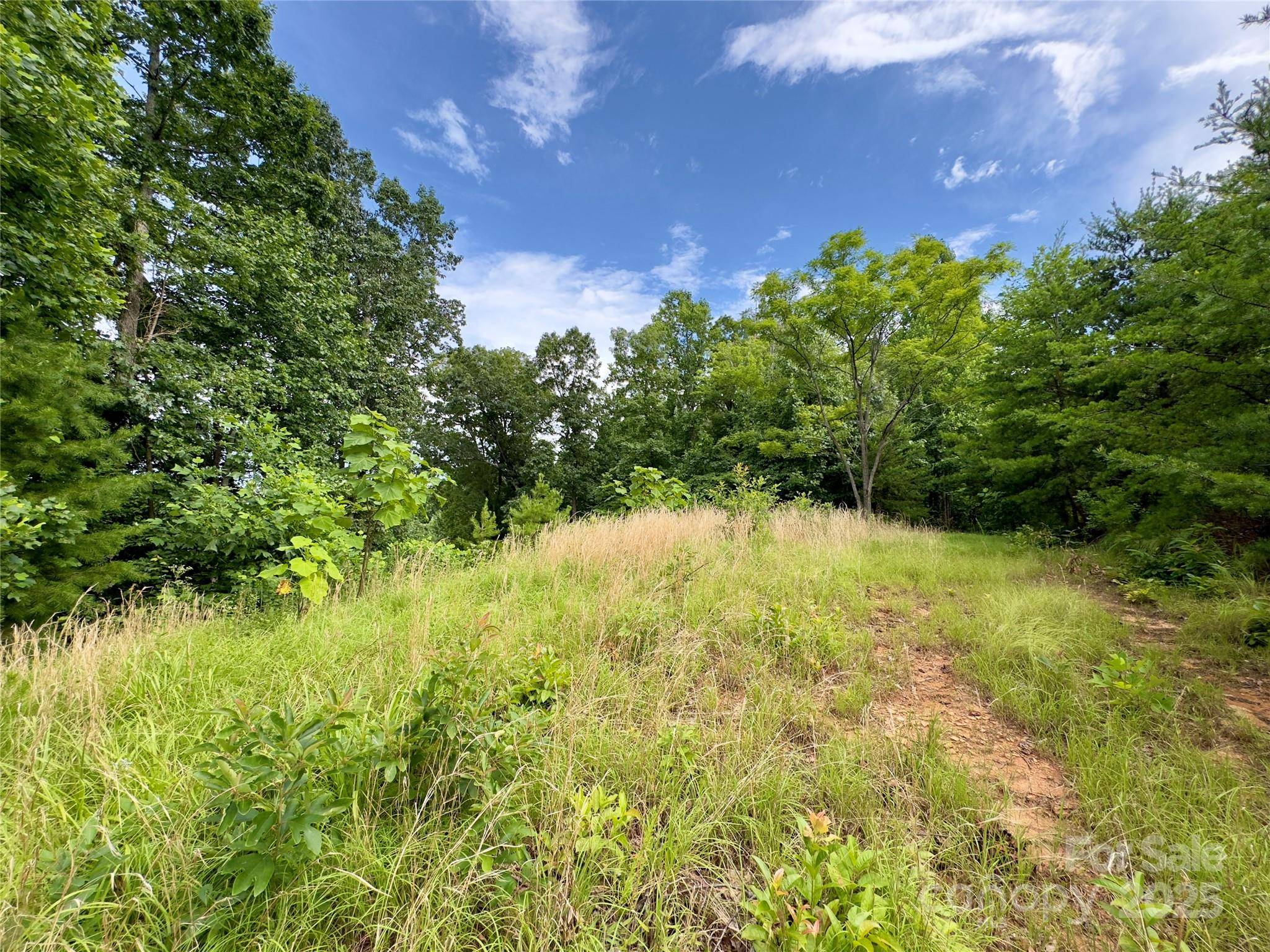 V/L Black Lark DR #178, Marion, NC 28752