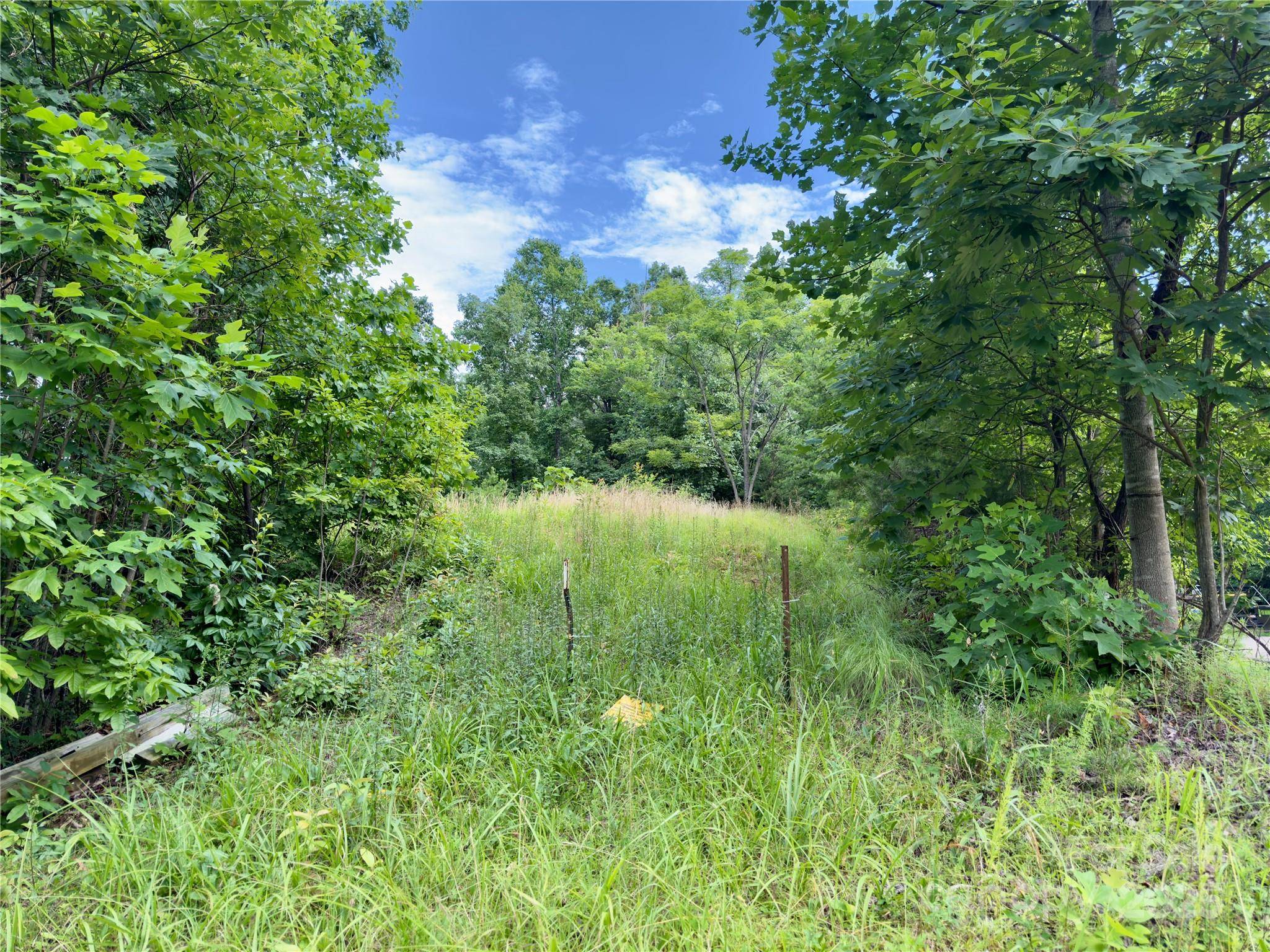 V/L Black Lark DR #178, Marion, NC 28752