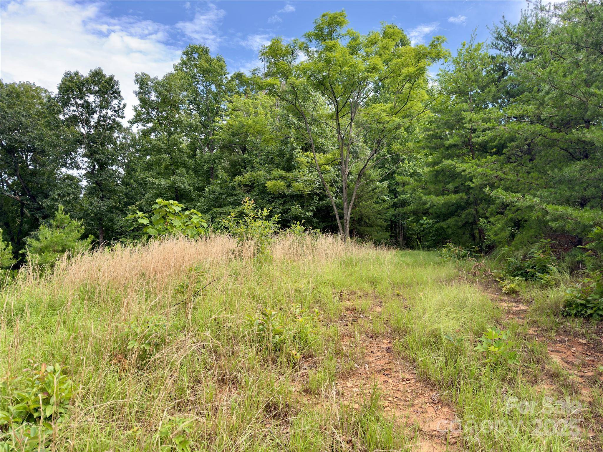 V/L Black Lark DR #178, Marion, NC 28752