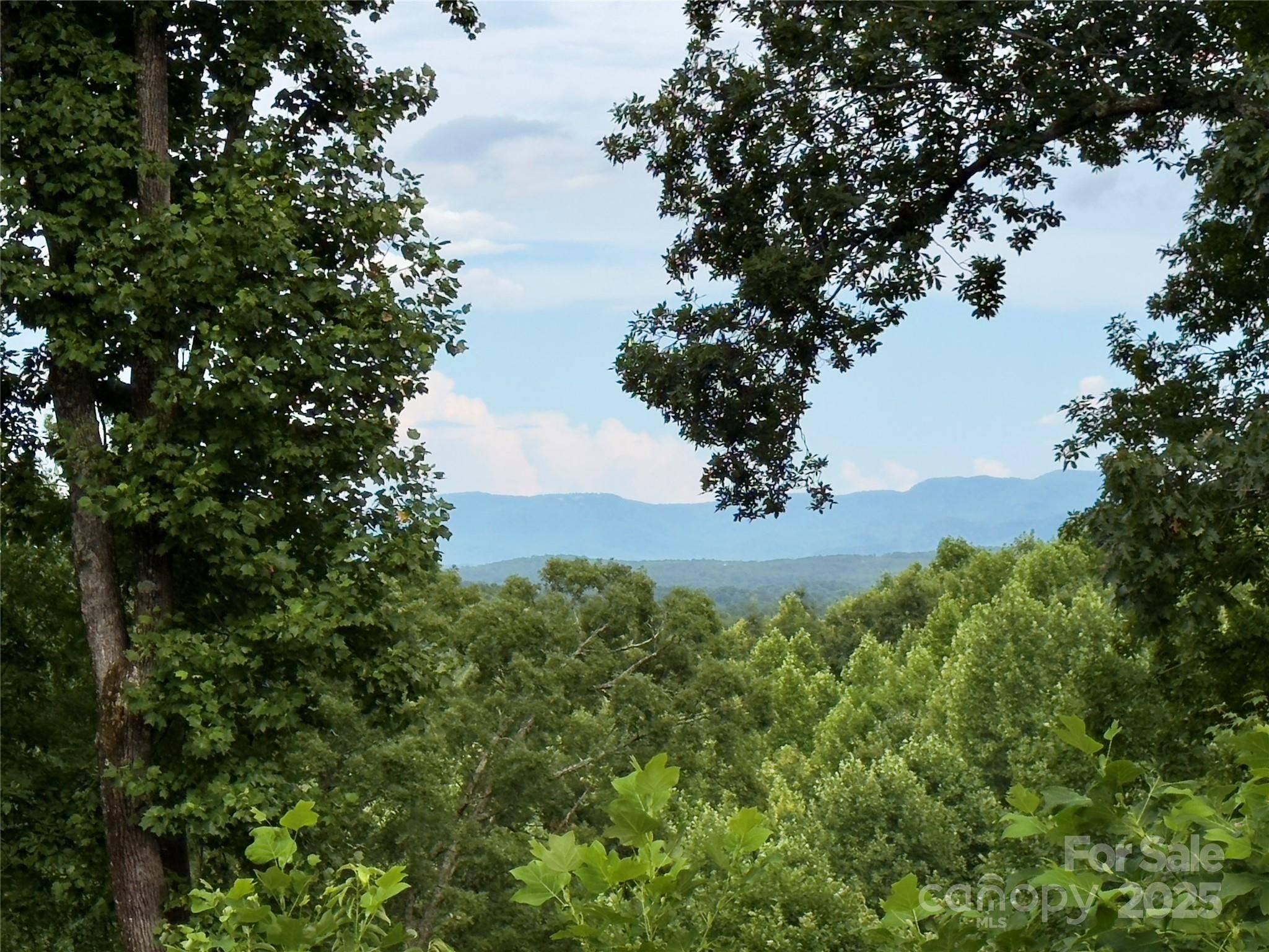 V/L Black Lark DR #178, Marion, NC 28752