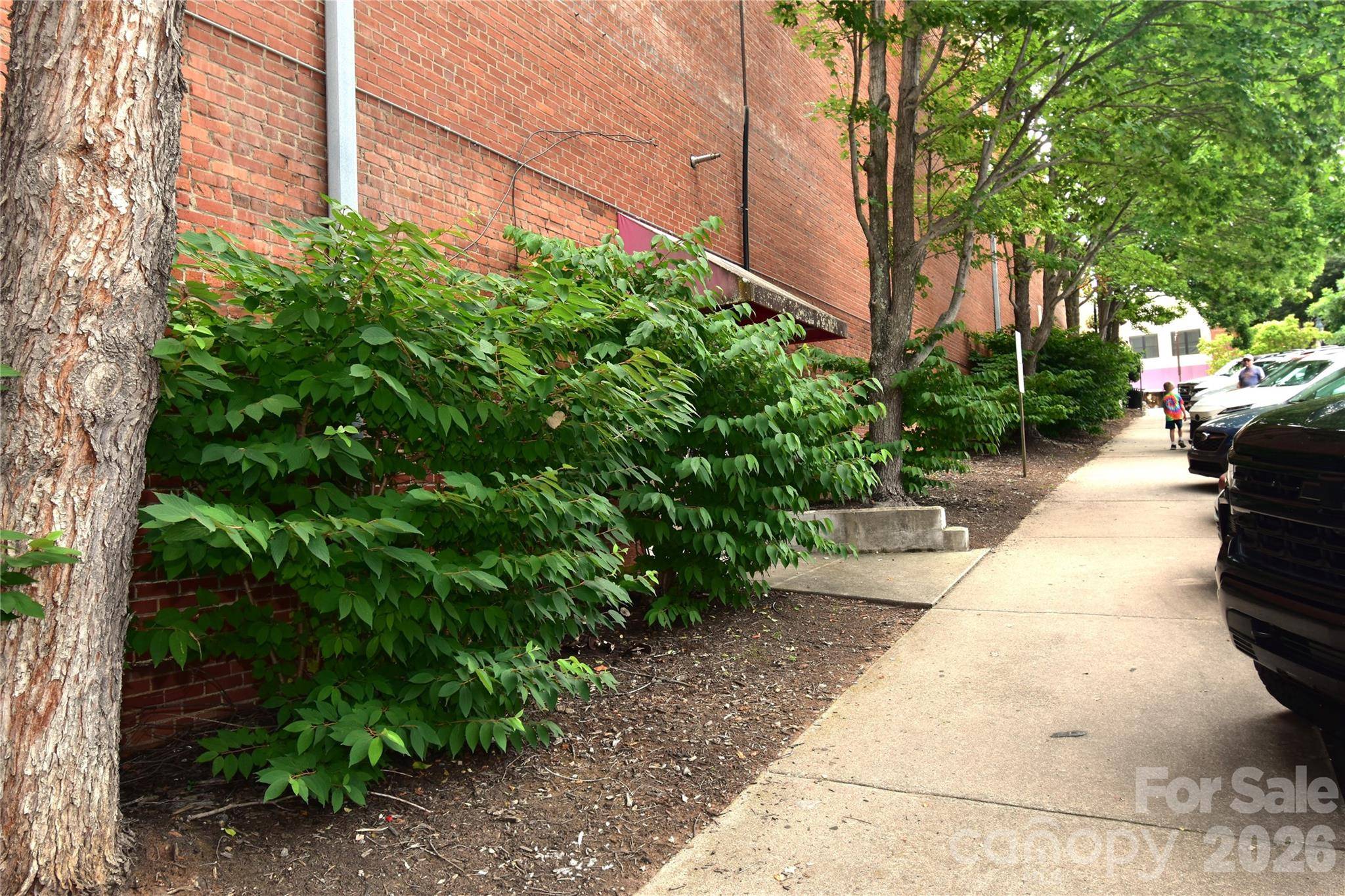 93 N Main ST, Waynesville, NC 28786