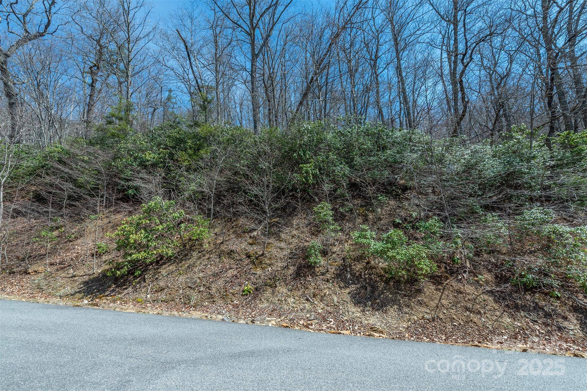23 Winding Poplar RD #912, Black Mountain, NC 28711