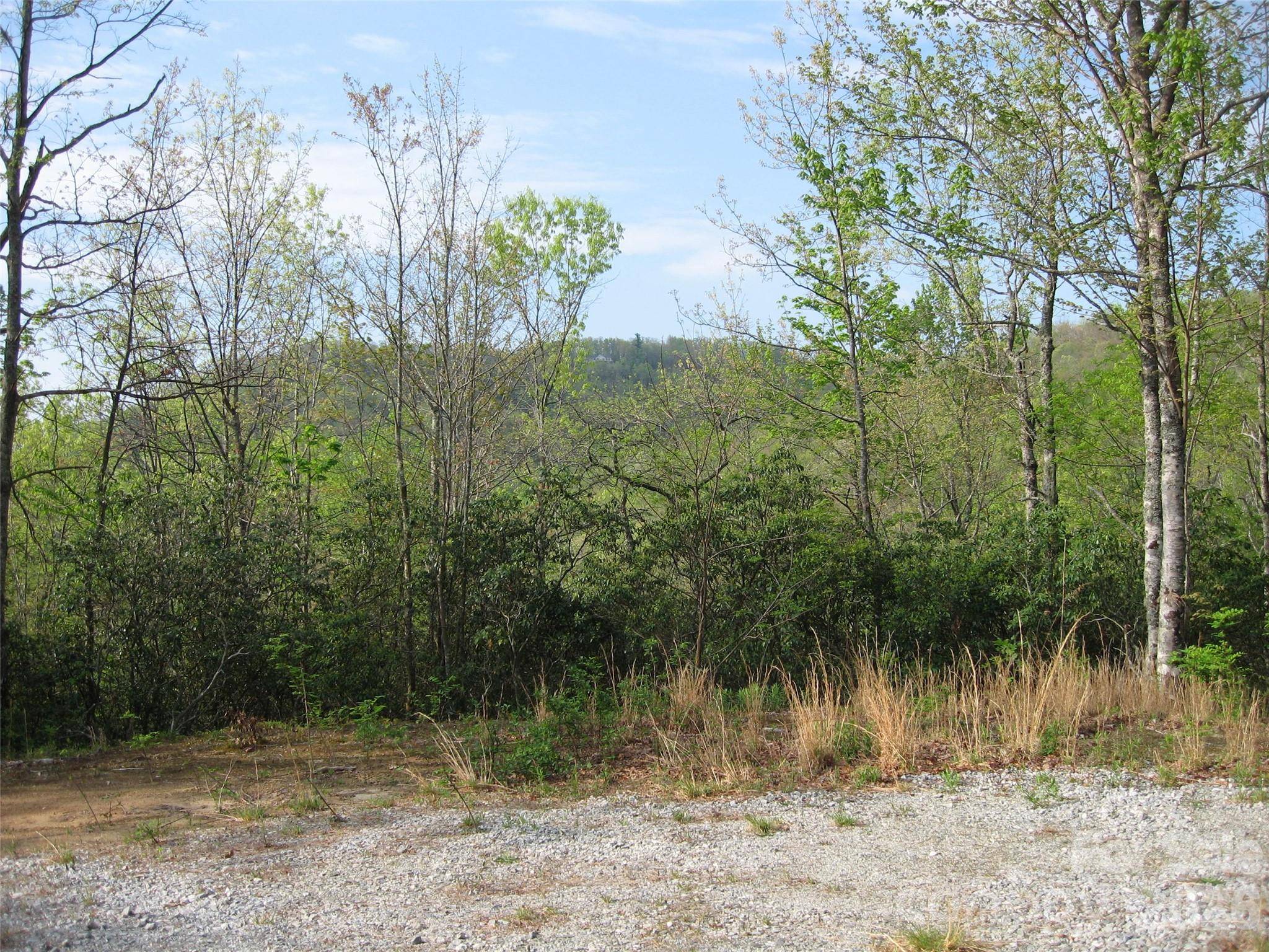 313 Line Runner Ridge RD, Rosman, NC 28772