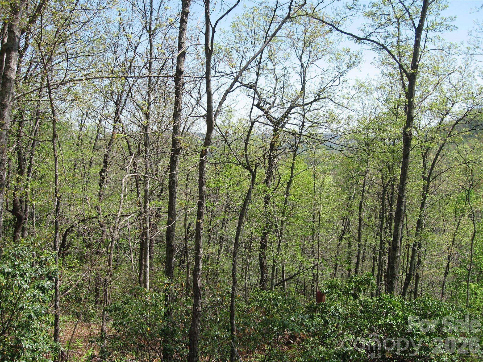 313 Line Runner Ridge RD, Rosman, NC 28772