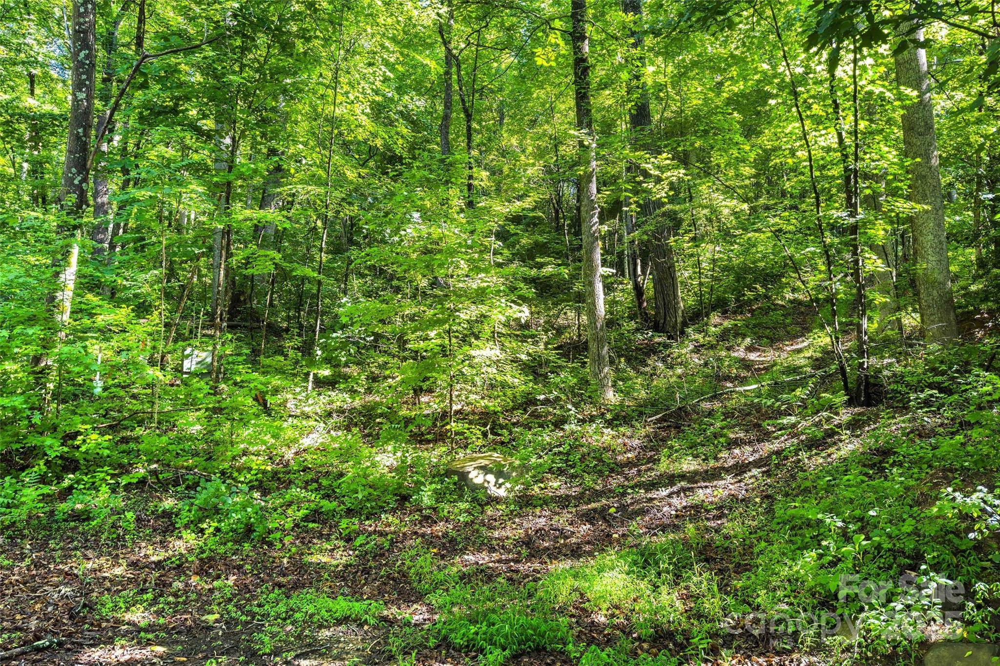 Lot #76 Hunnicut Spur RD, Marion, NC 28752