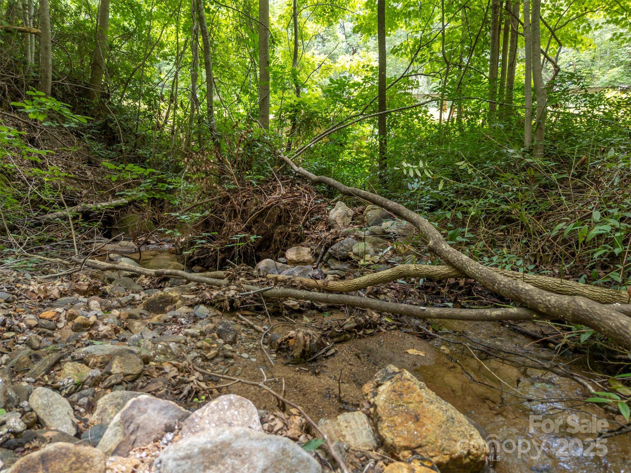 000 Deep Gap Farm RD E, Mill Spring, NC 28756