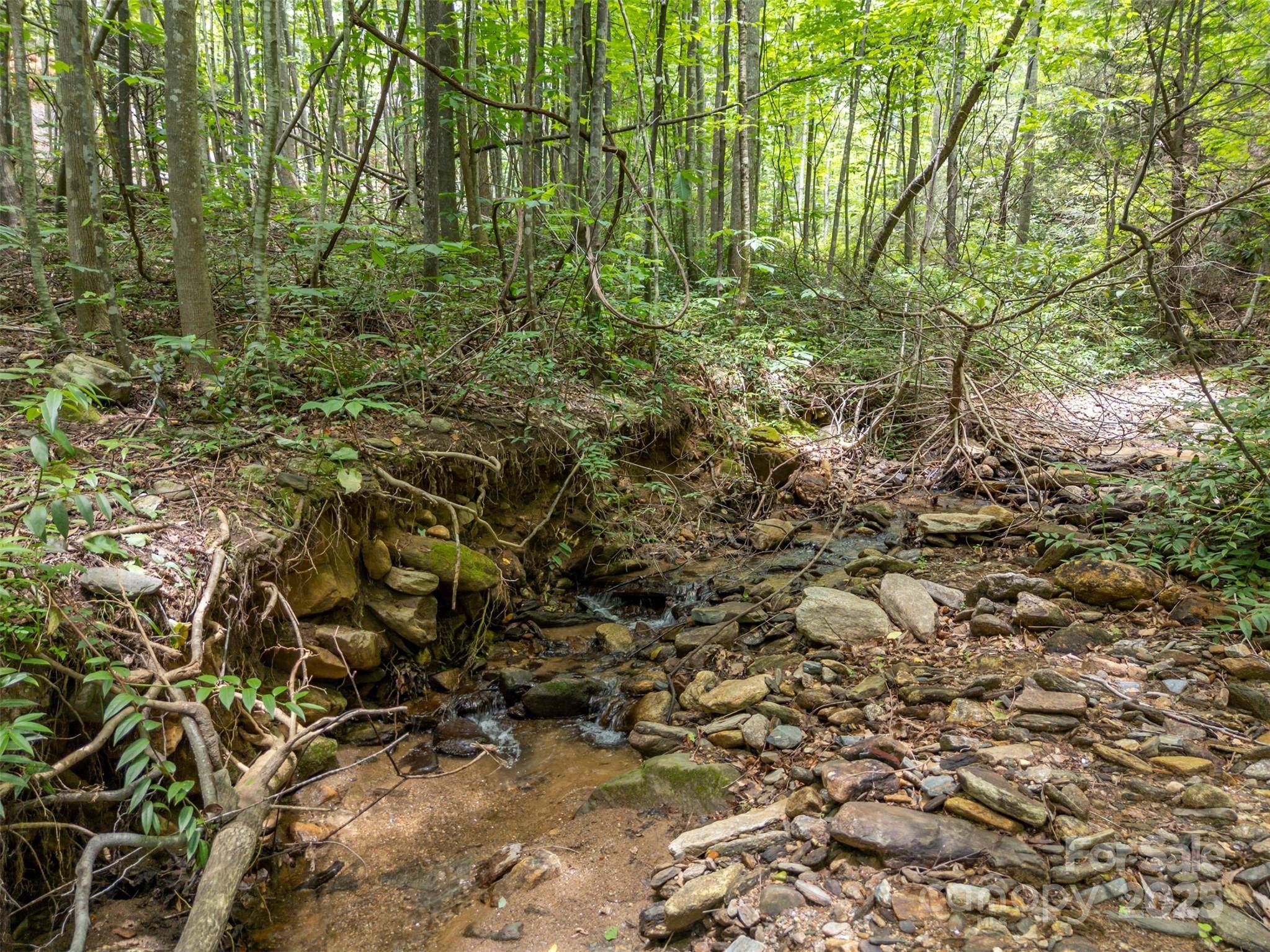 000 Deep Gap Farm RD E, Mill Spring, NC 28756