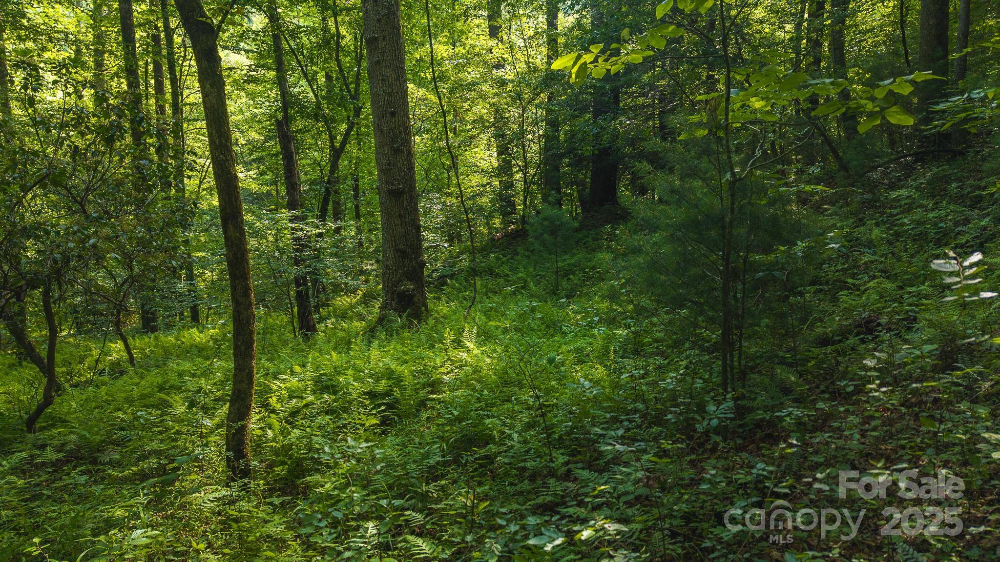 0 Brushy Mtn RD, Moravian Falls, NC 28654