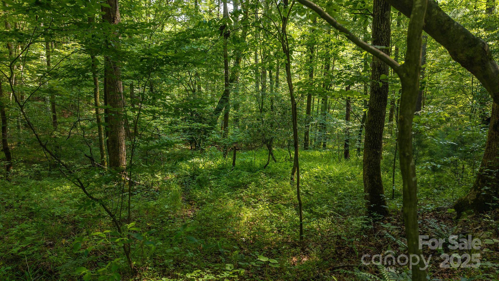 0 Brushy Mtn RD, Moravian Falls, NC 28654