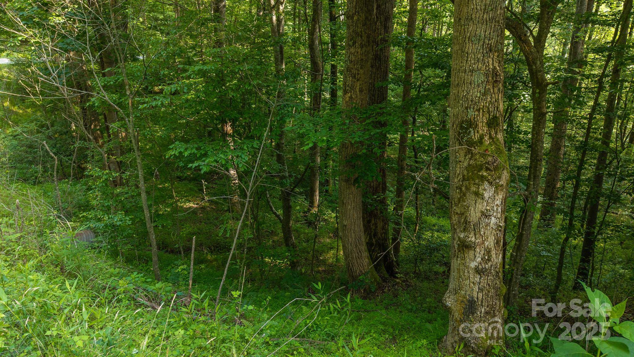 0 Brushy Mtn RD, Moravian Falls, NC 28654