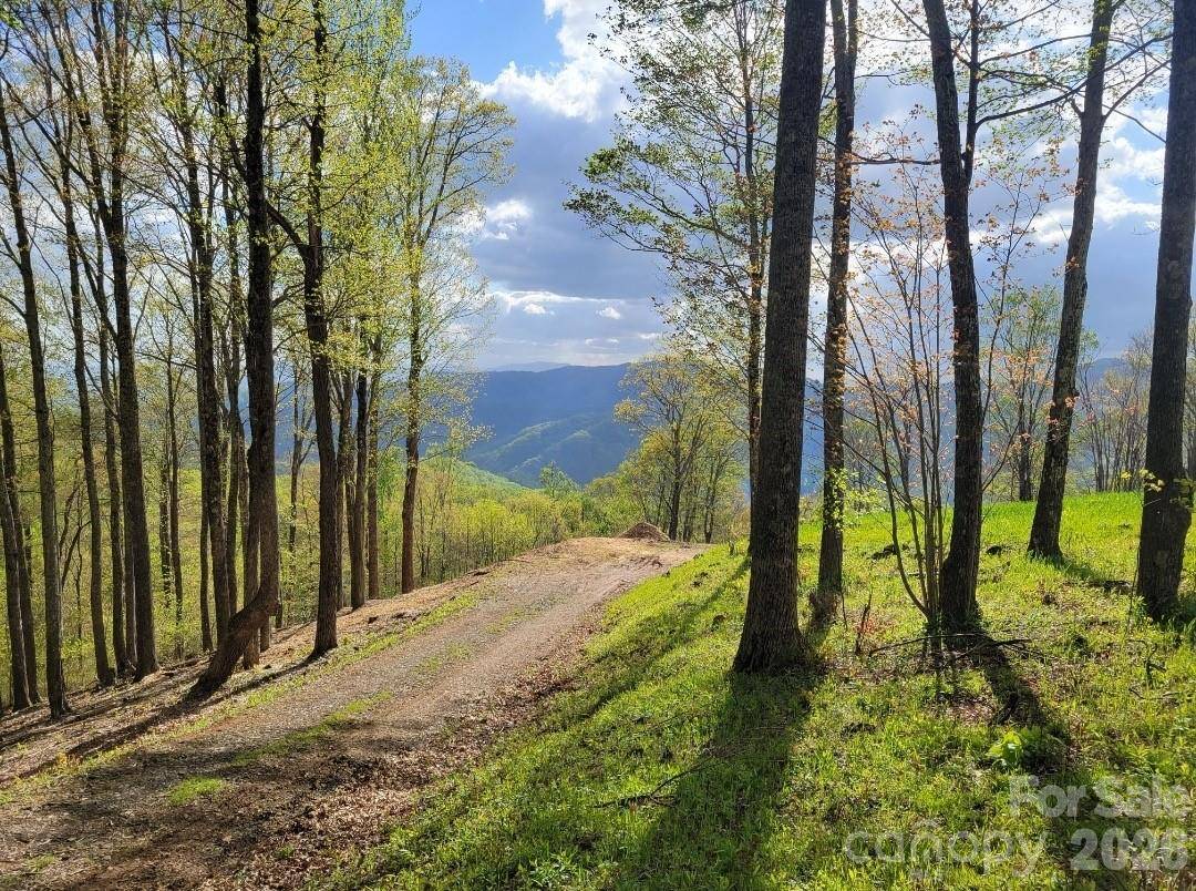 TBD Nicholas Knoll RD, Bakersville, NC 28705