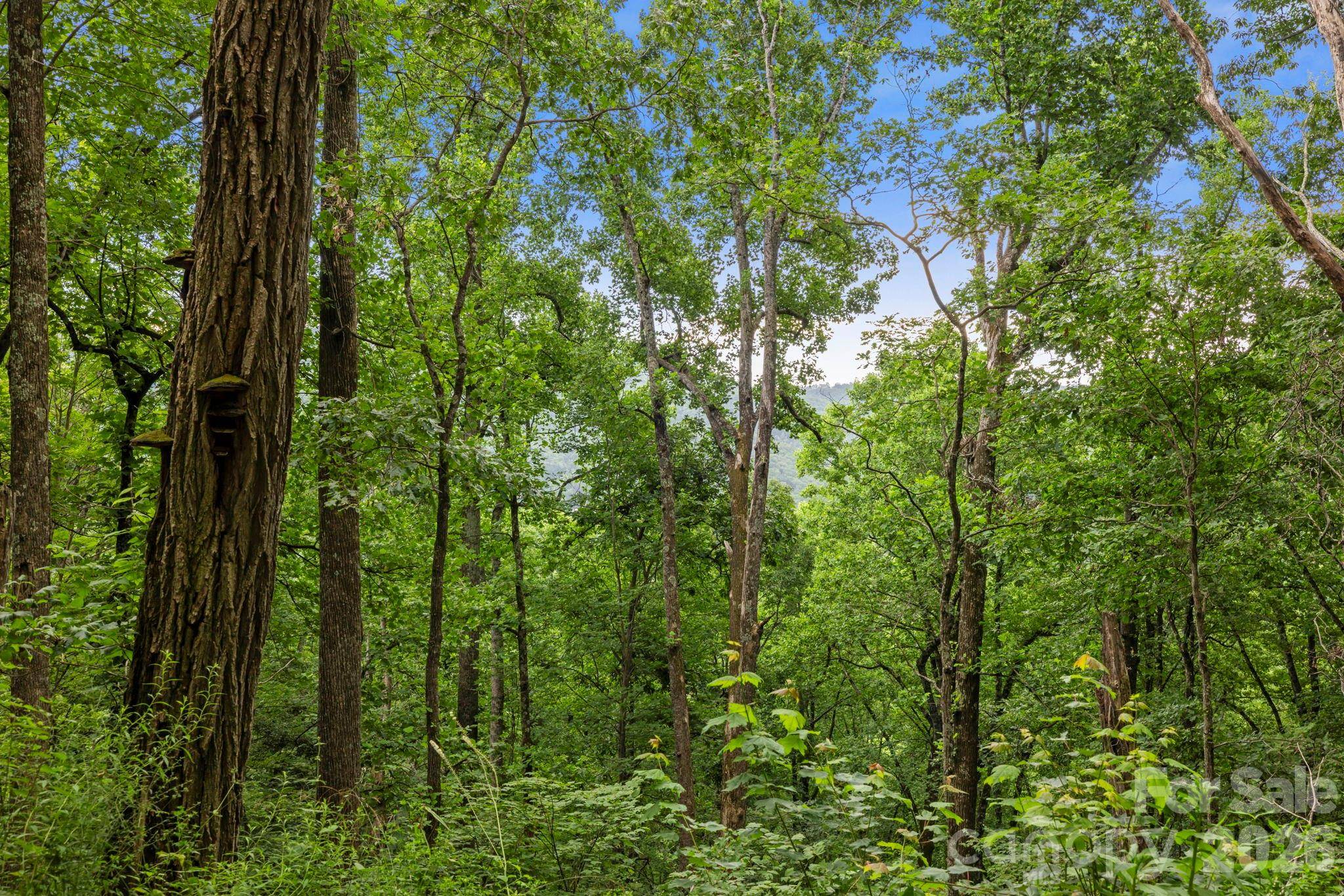 99999 Little Pisgah RD, Gerton, NC 28735
