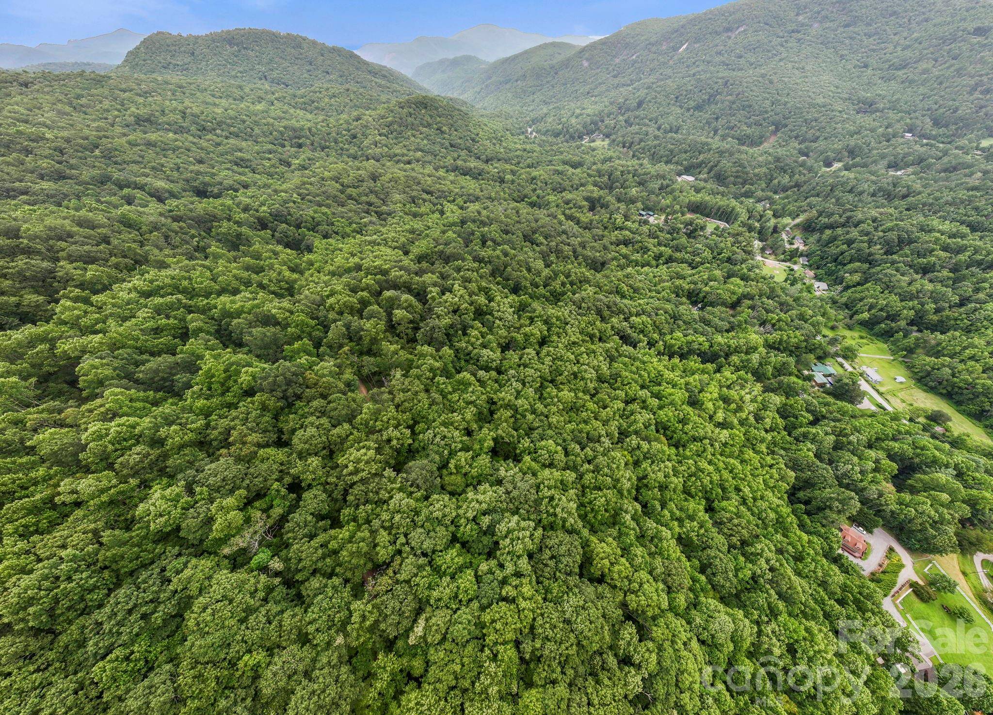 99999 Little Pisgah RD, Gerton, NC 28735