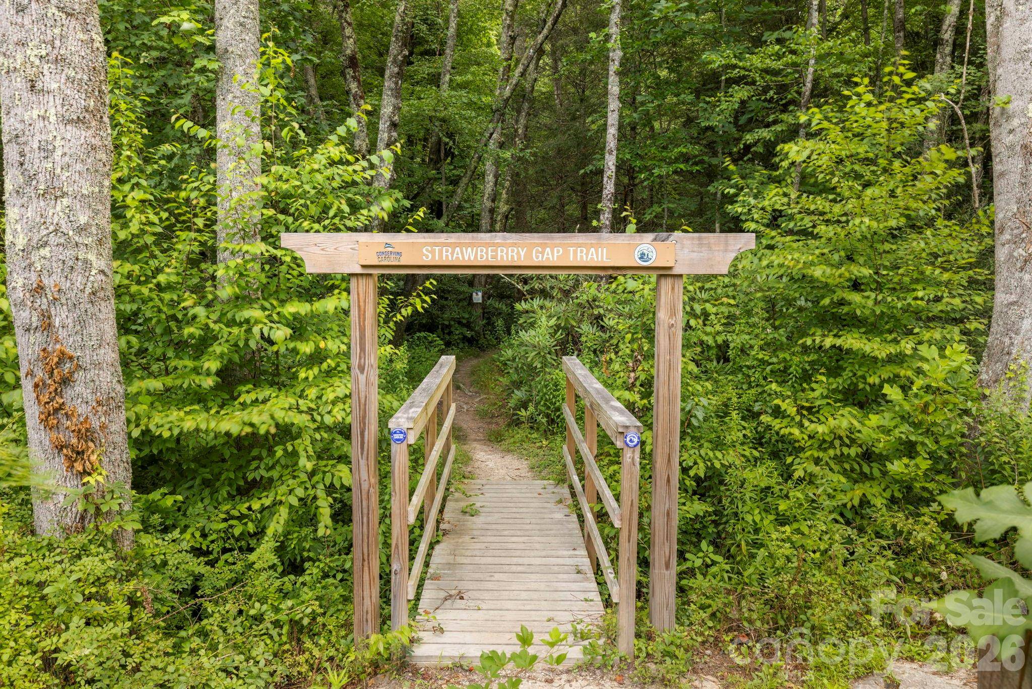 99999 Little Pisgah RD, Gerton, NC 28735