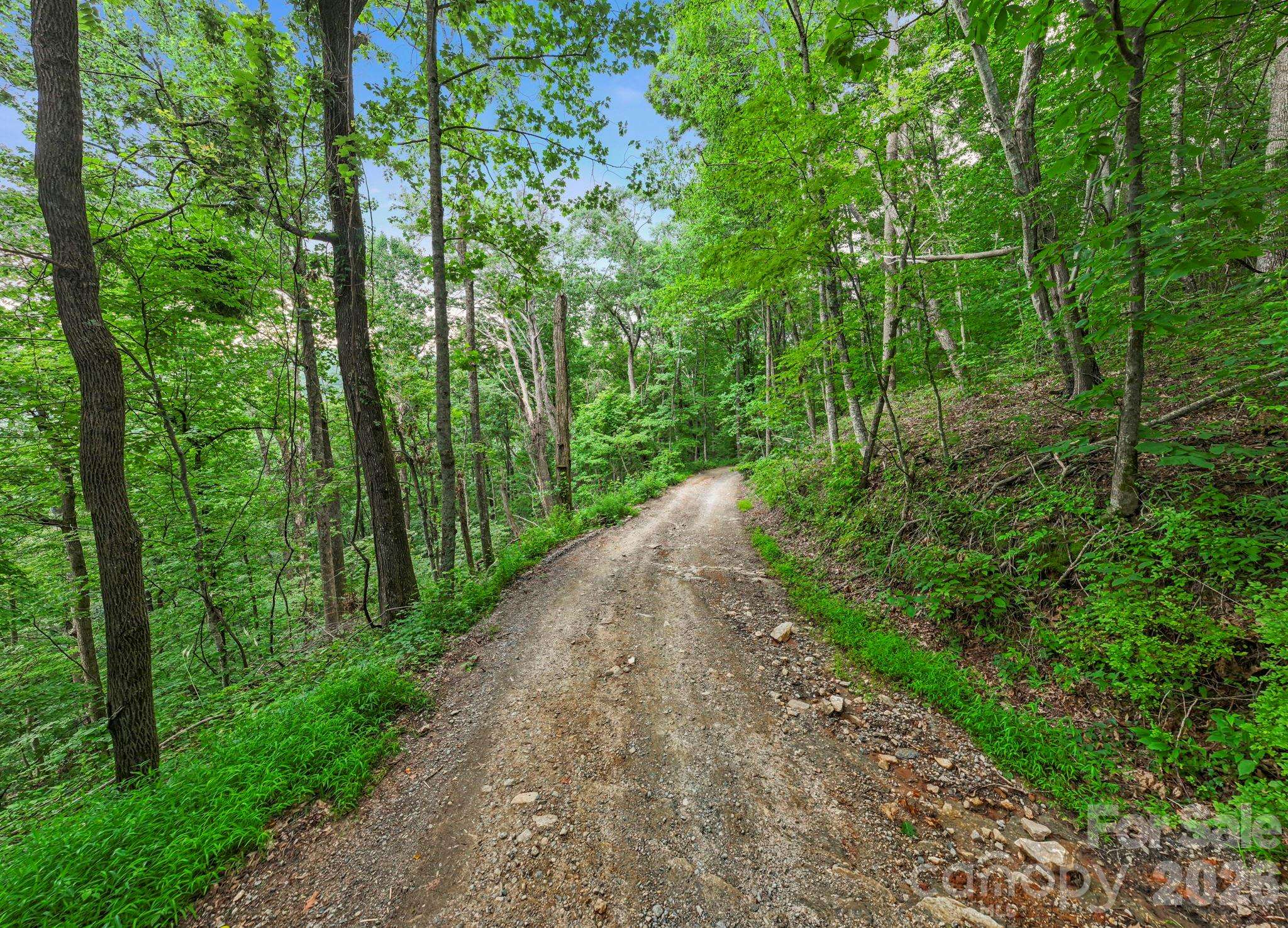 99999 Little Pisgah RD, Gerton, NC 28735
