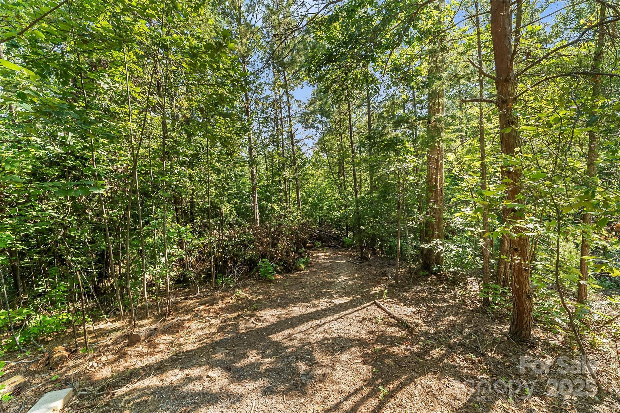 V/L Horizon DR, Nebo, NC 28761